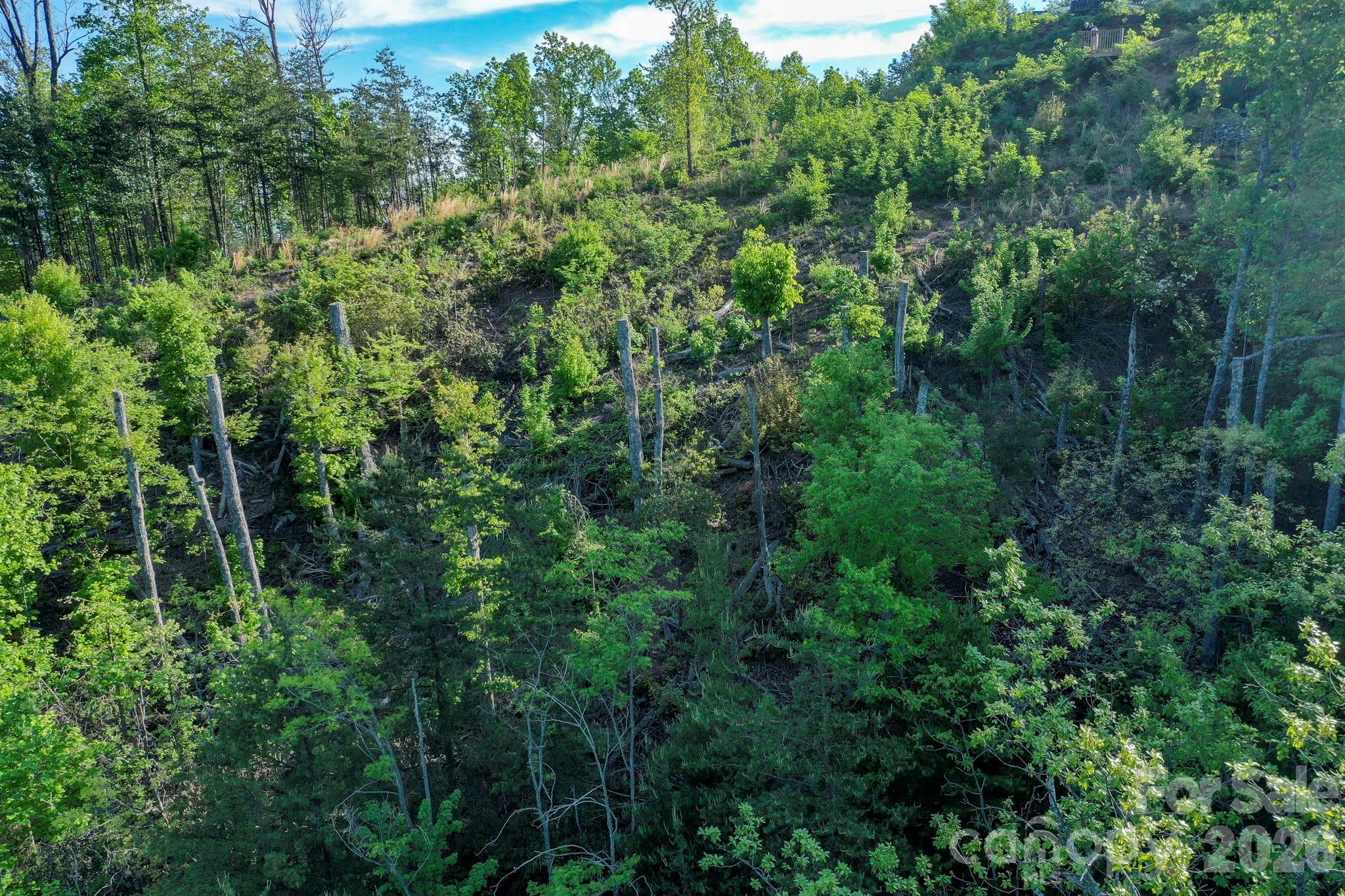 Lot at 000 Golden Ridge Drive, Lake Lure, photo 5 of 18