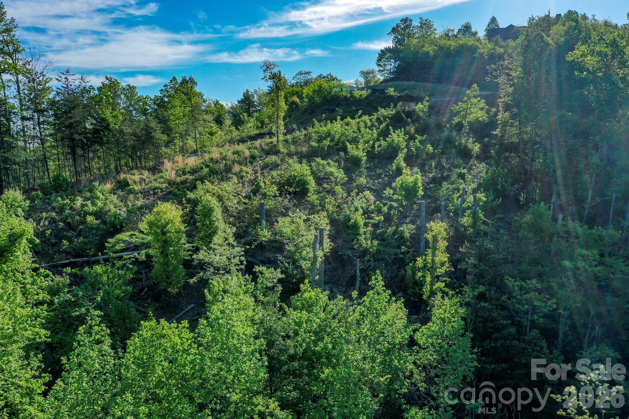 Lot at 000 Golden Ridge Drive, Lake Lure, photo 6 of 18