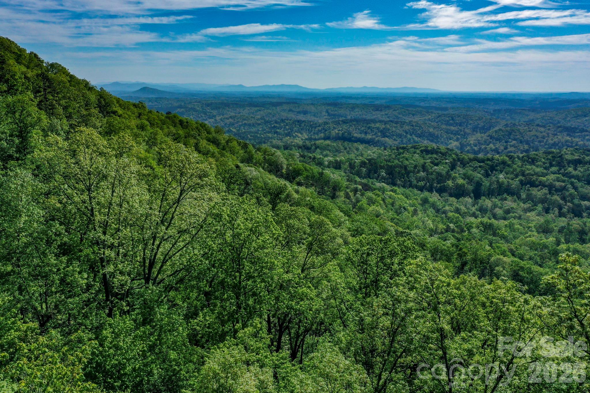 Lot at 0 Bills Mountain Trail, Lake Lure, photo 2 of 18