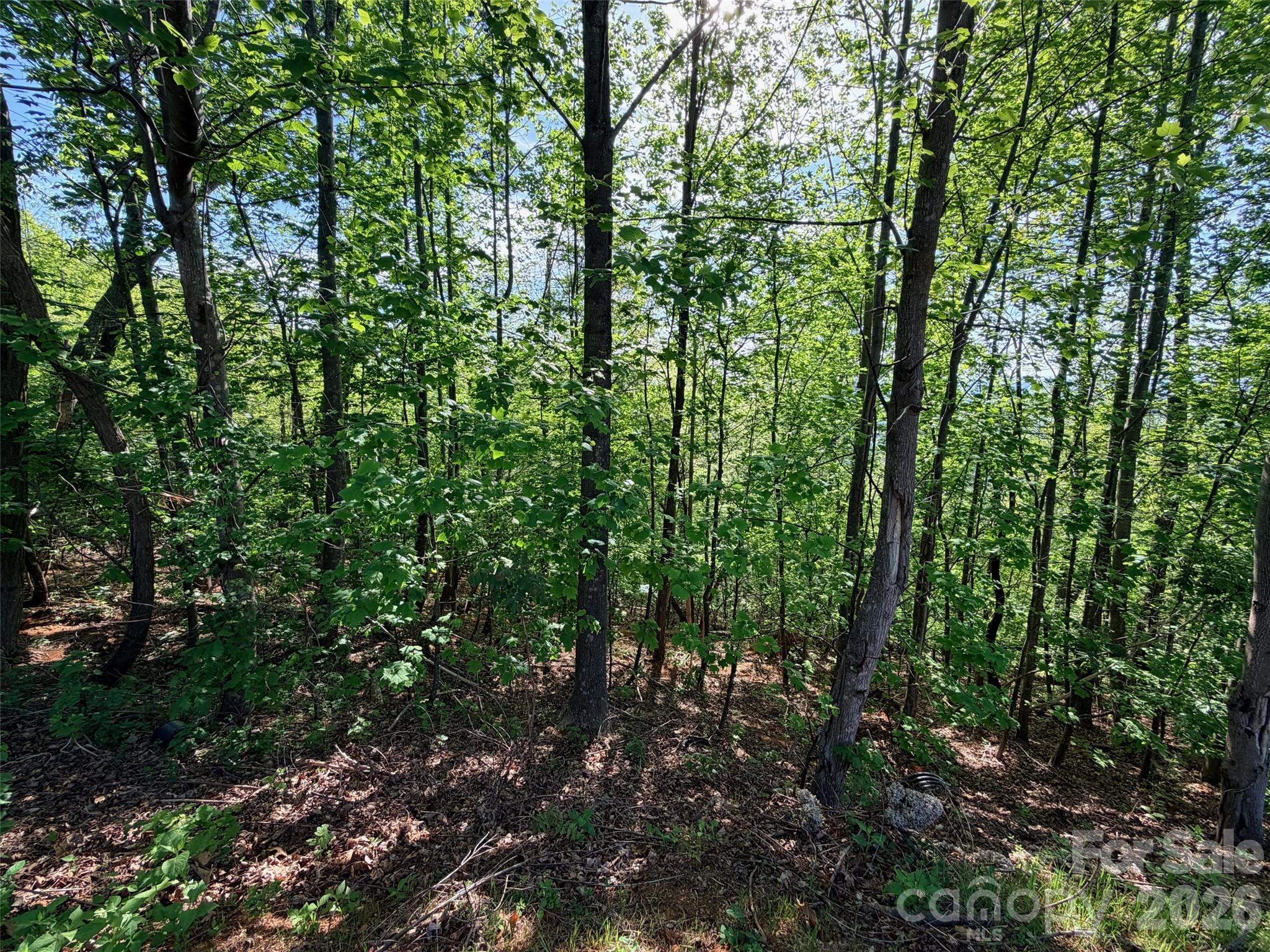 Lot at 0 Bills Mountain Trail, Lake Lure, photo 8 of 18