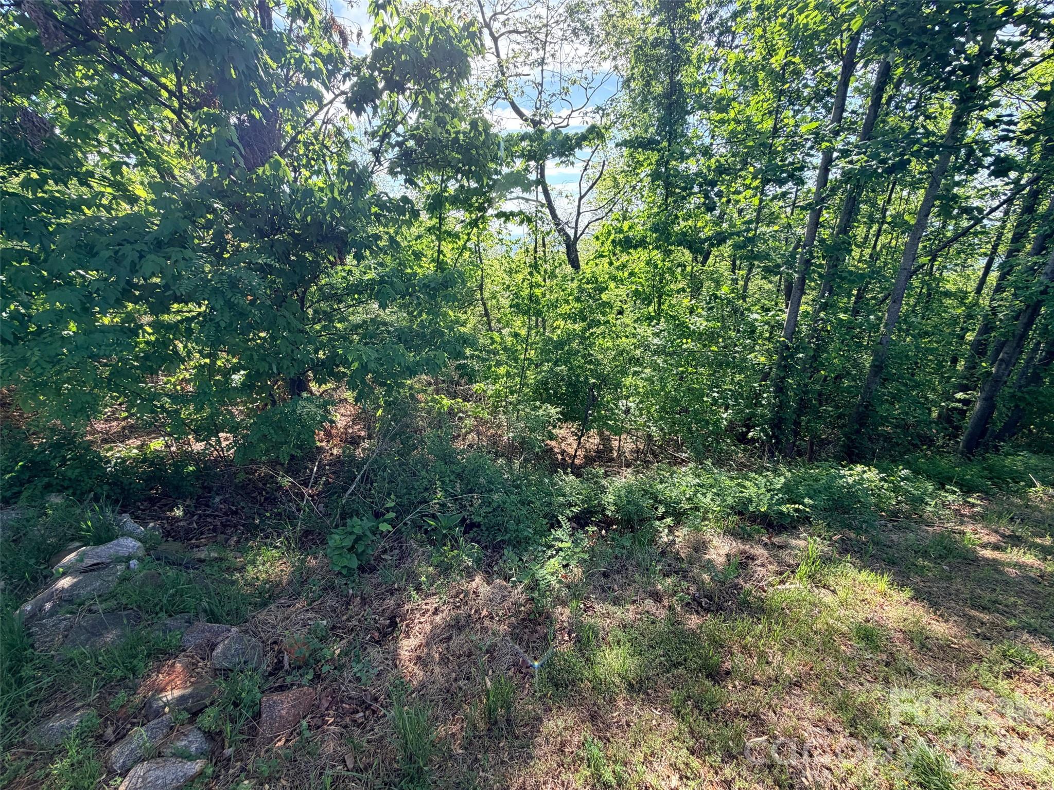 Lot at 0 Bills Mountain Trail, Lake Lure, photo 9 of 18