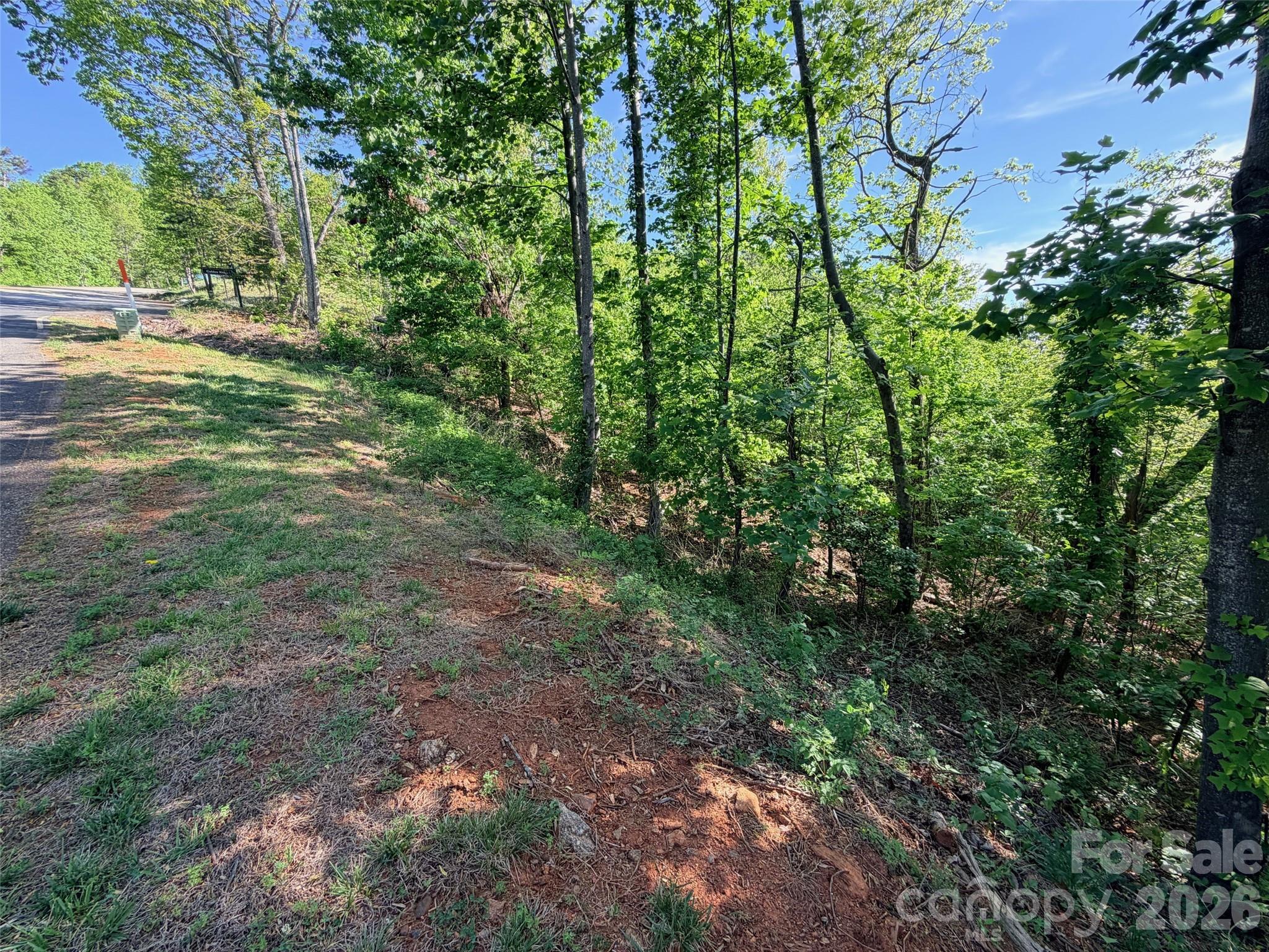 Lot at 0 Bills Mountain Trail, Lake Lure, photo 10 of 18