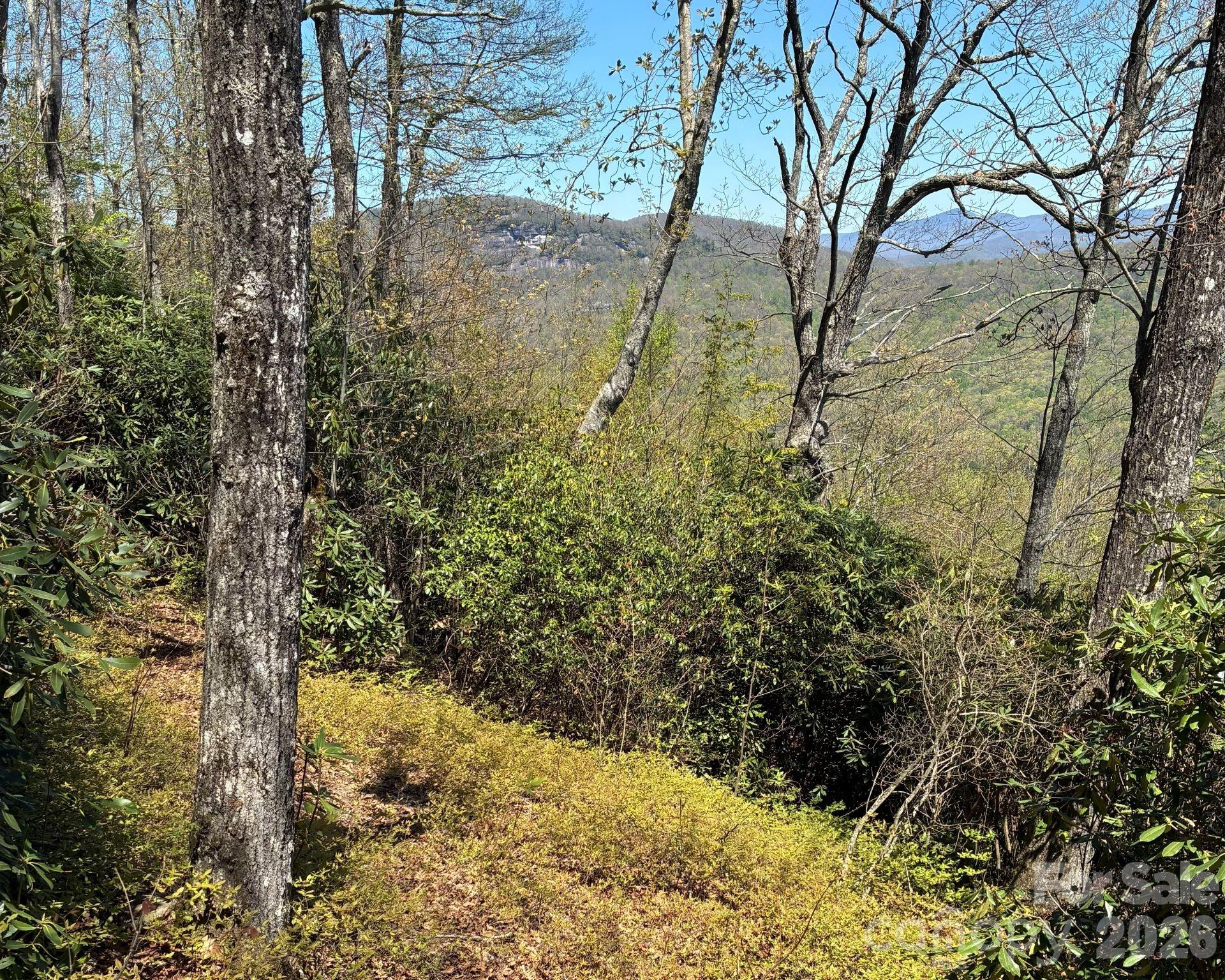 Path down property - P 2 L020RV Toxaway Cliff, Lake Toxaway