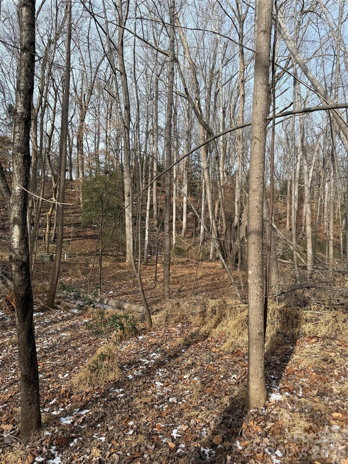 Acreage at 3024 Downing Street, Shelby, photo 3 of 6