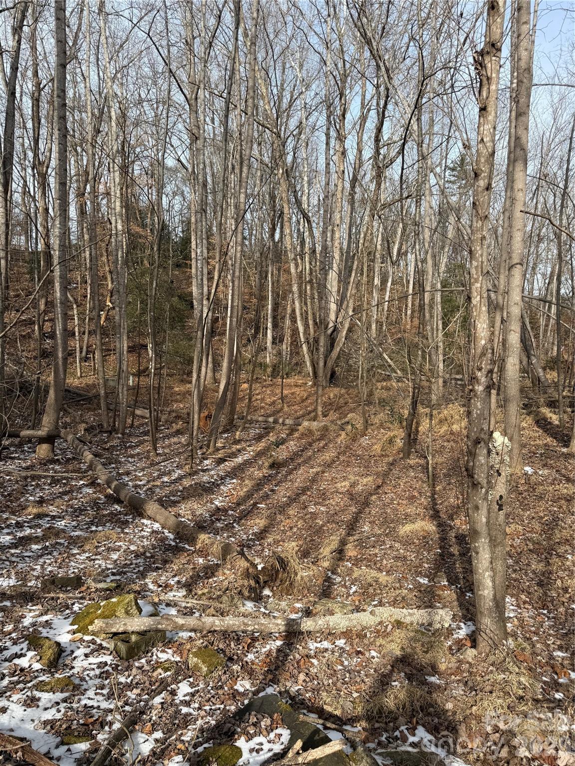 Acreage at 3024 Downing Street, Shelby, photo 4 of 6
