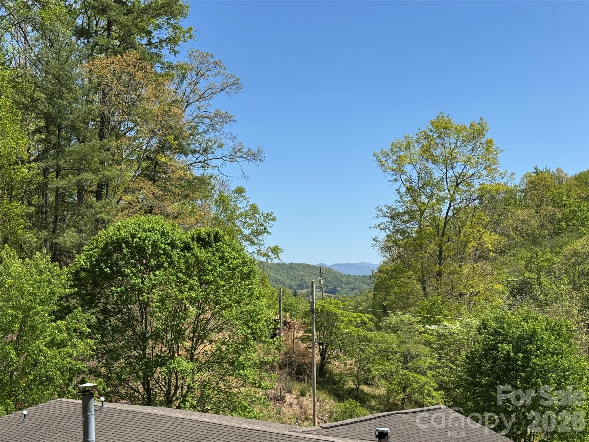 Single Family Residence at 942 Fisher Branch Road, Marshall, photo 28 of 40