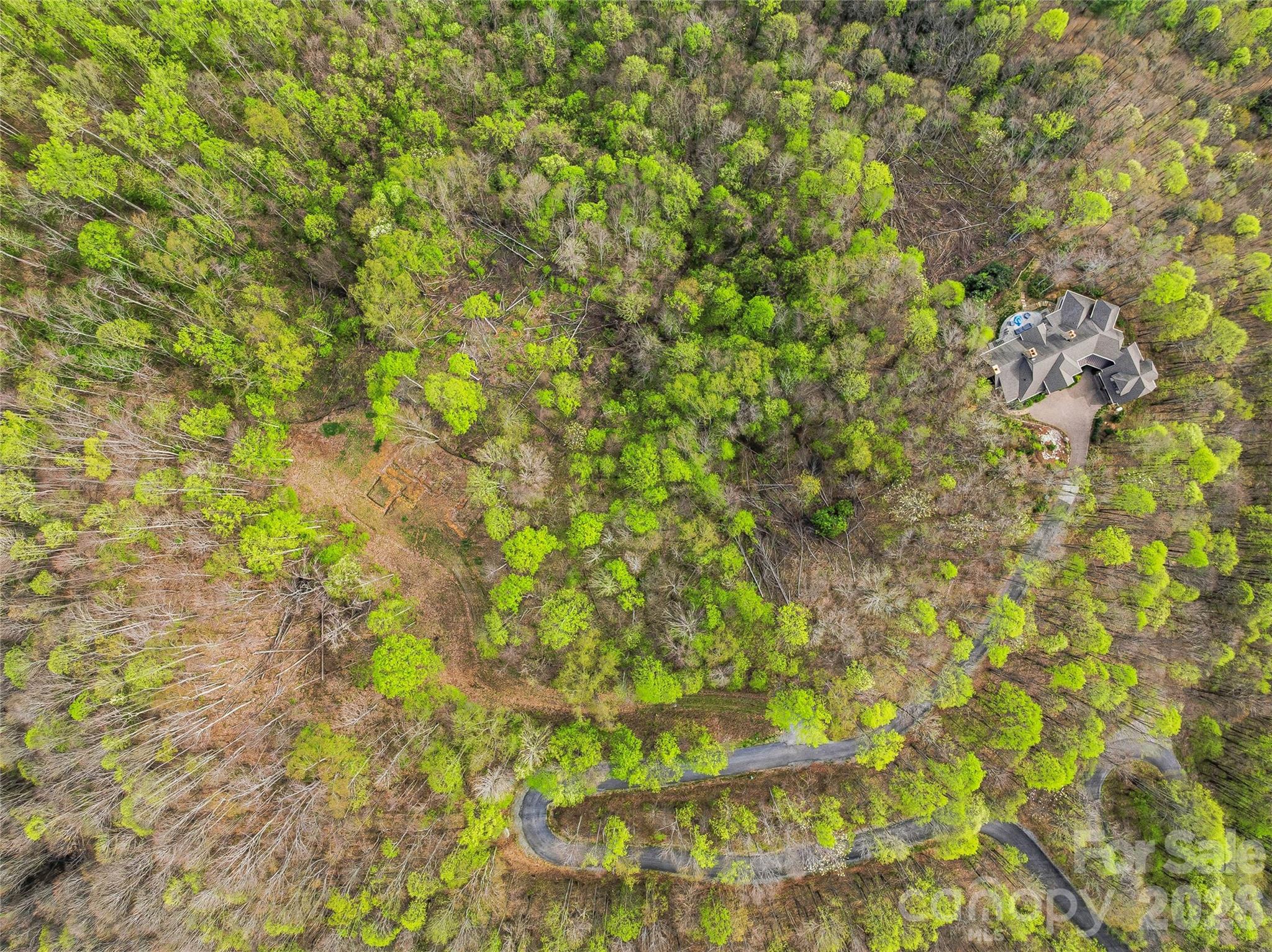 Lot at #227 Flying Dutchman Road, Sylva, photo 3 of 31
