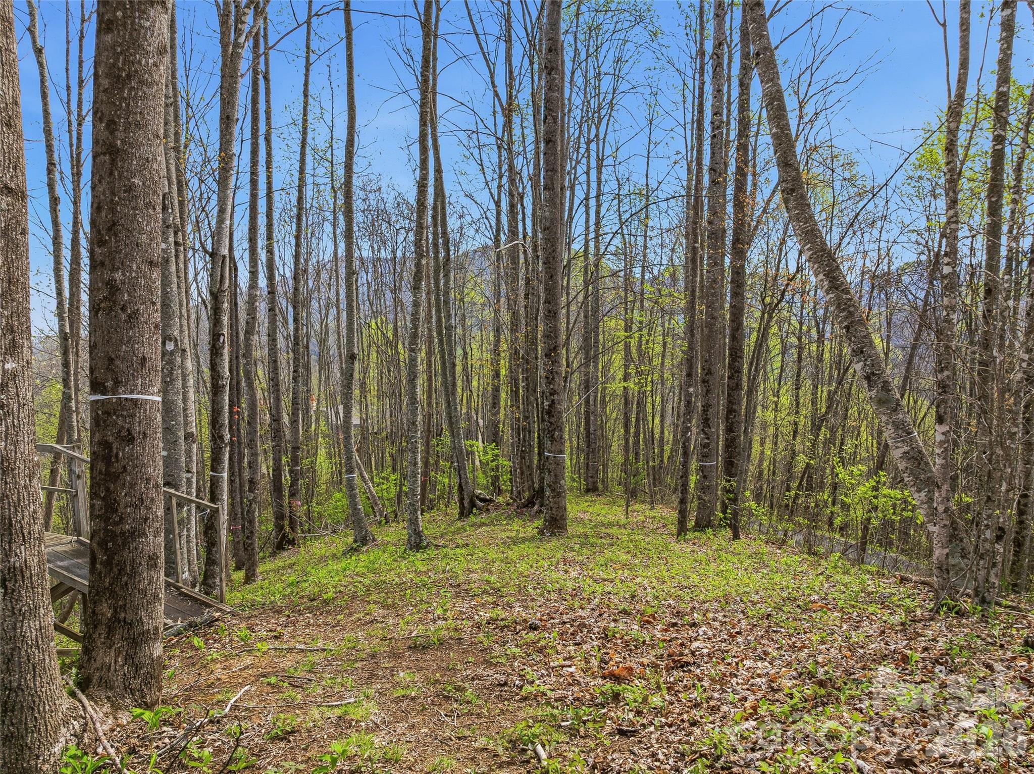 Lot at #227 Flying Dutchman Road, Sylva, photo 14 of 31