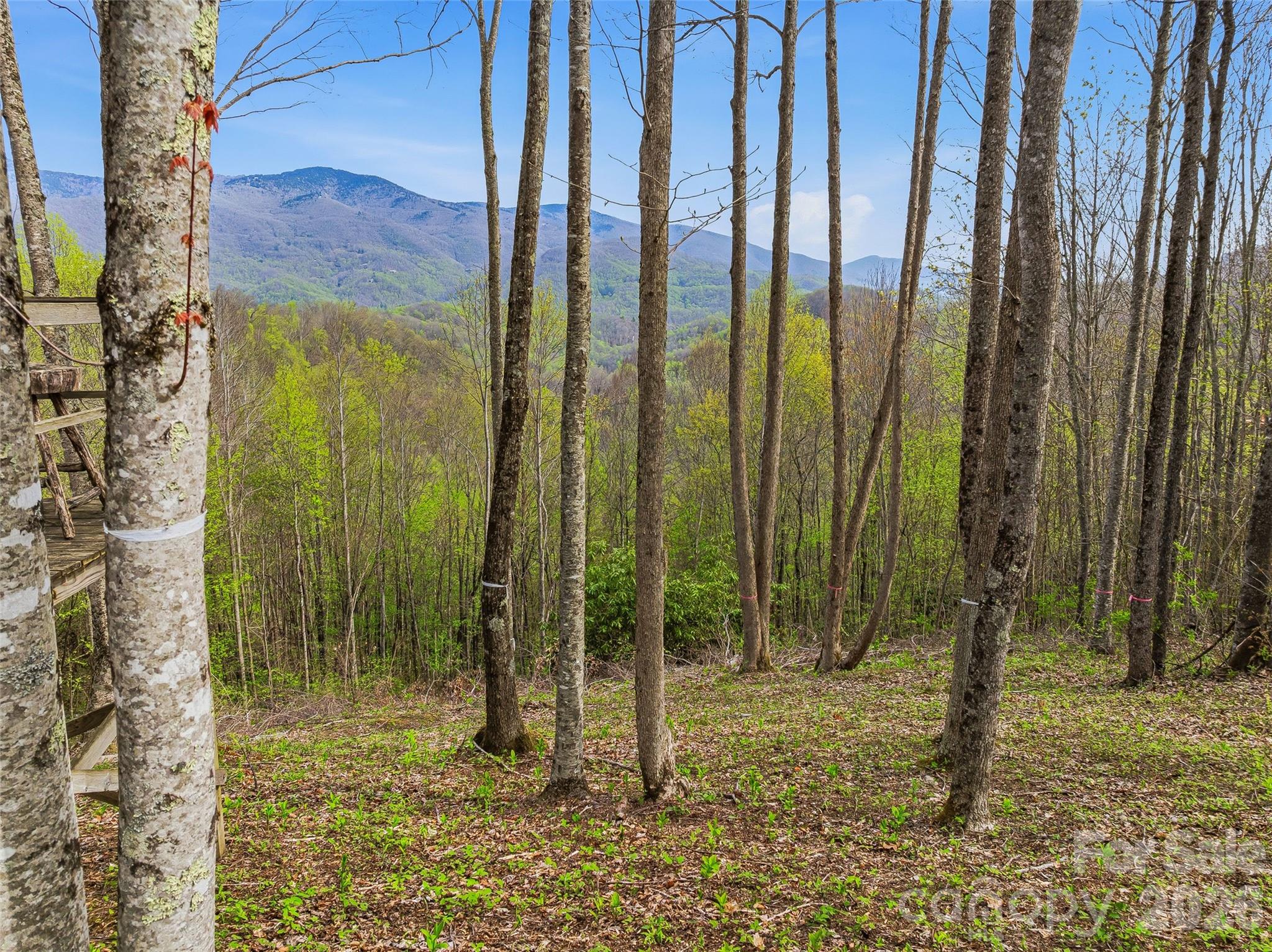 Lot at #227 Flying Dutchman Road, Sylva, photo 15 of 31