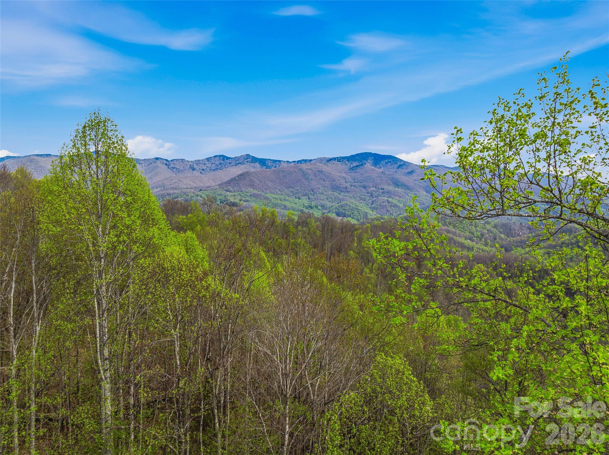 Lot at #227 Flying Dutchman Road, Sylva, photo 18 of 31