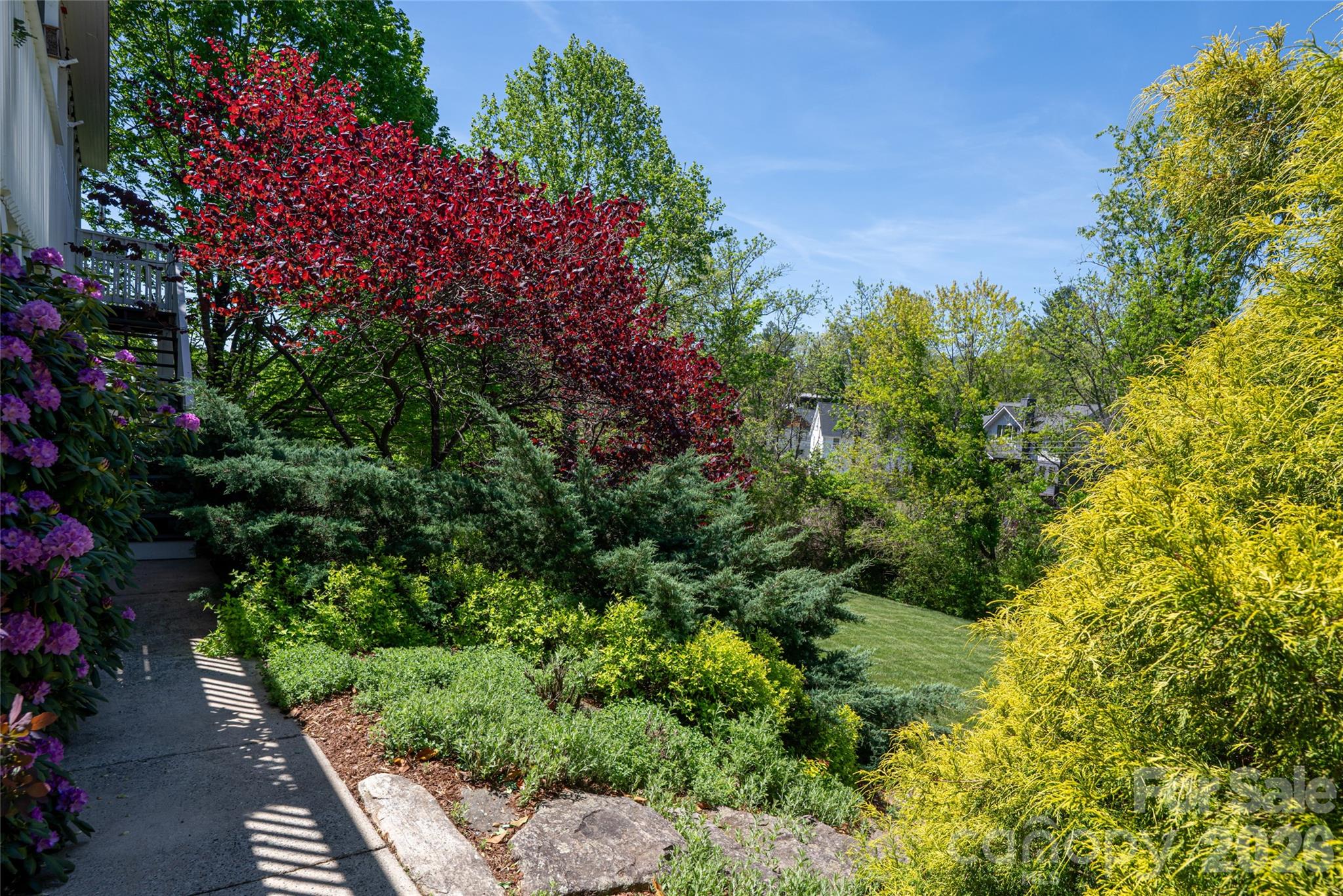 Beautiful Established Landscaping - 38 Pine Acre Boulevard, Asheville