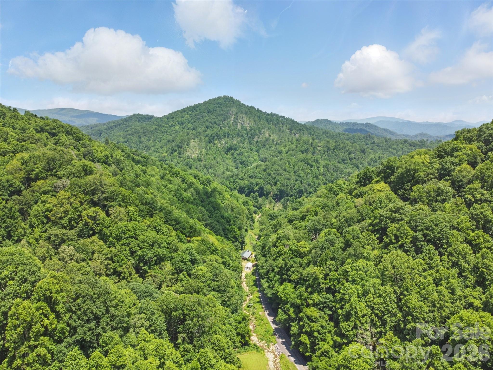 10 acres of beautiful mountain property - 3829 Coxes Creek Road, Burnsville