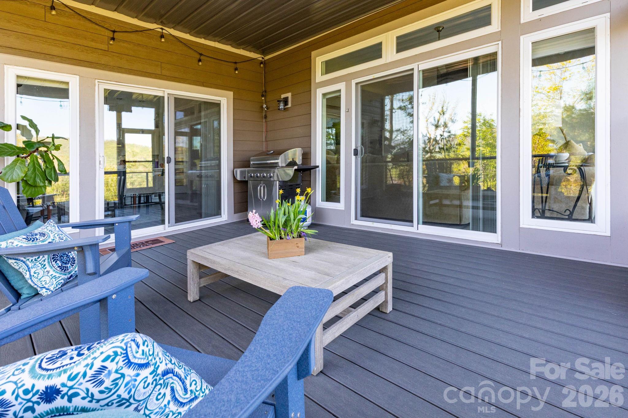 Screened Porch - 36 Spy Pointe Lane, Fletcher