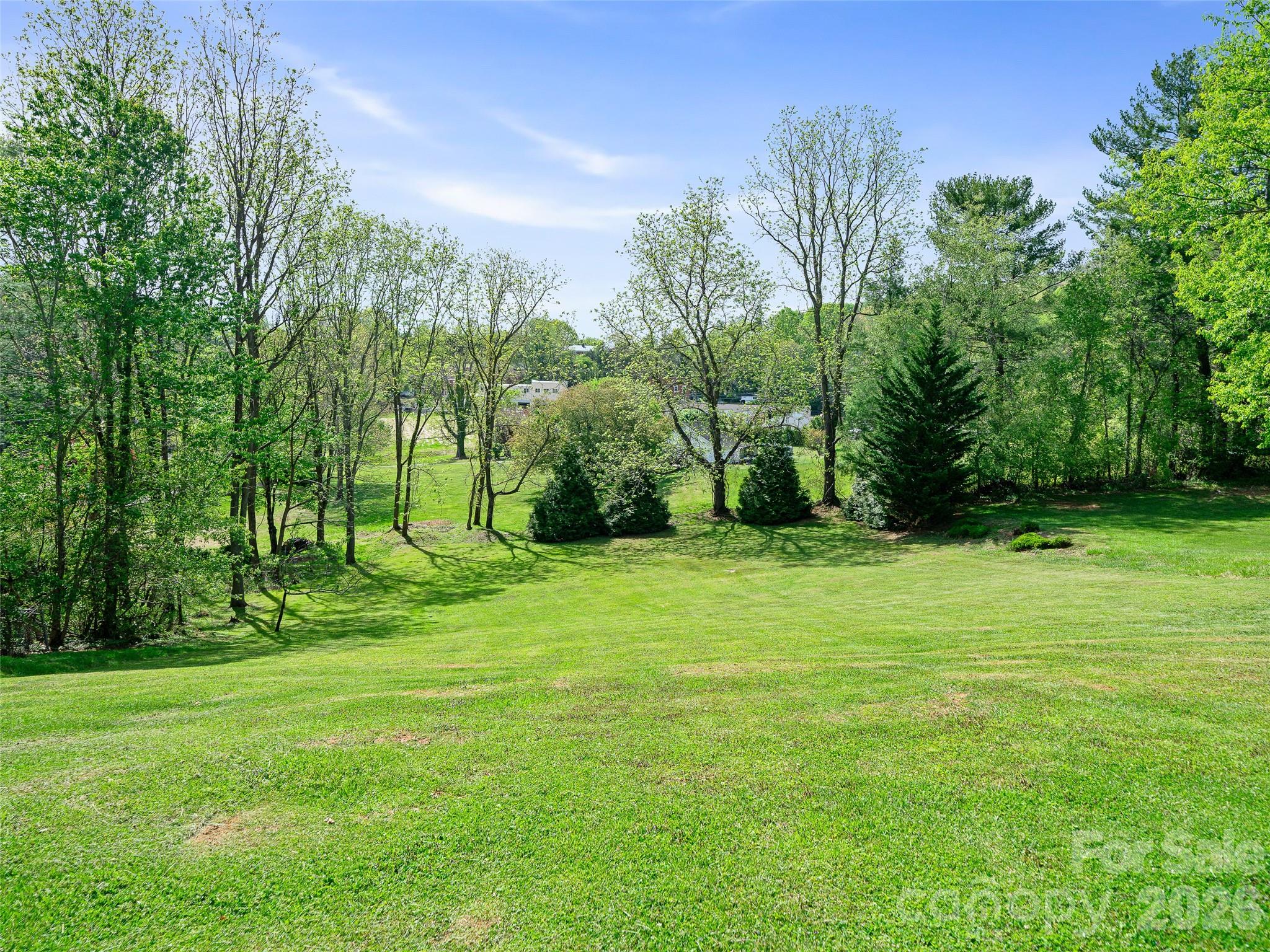 Back Yard - 45 Summit Street, Burnsville