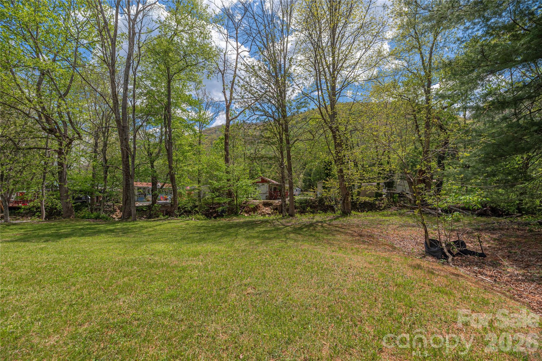 Lot at 500 Sophie Road, Maggie Valley, photo 7 of 32