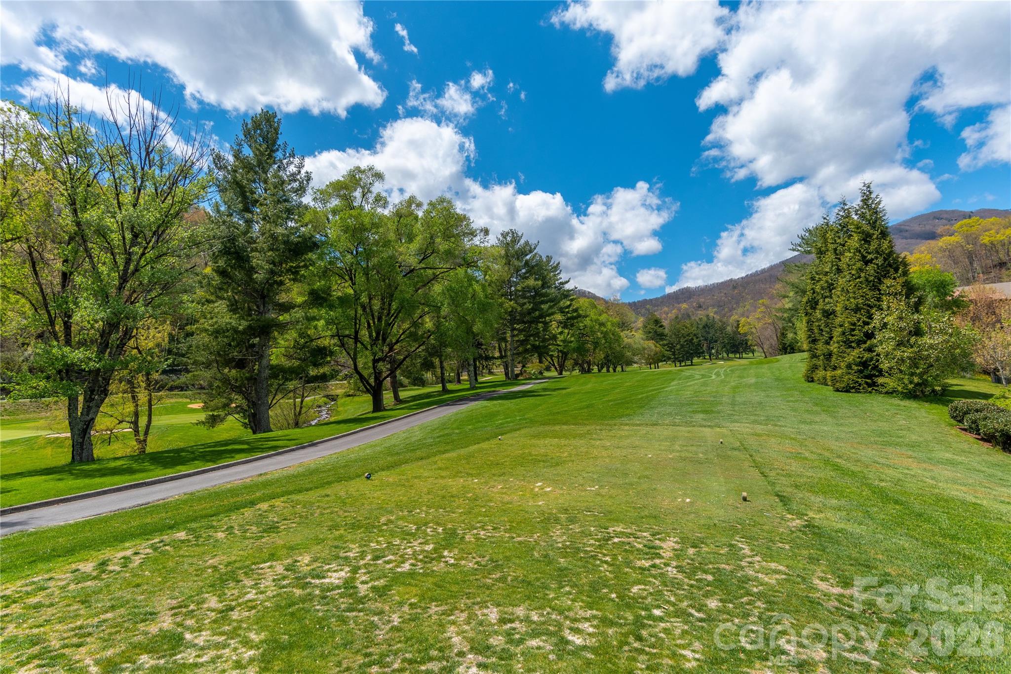 Lot at 500 Sophie Road, Maggie Valley, photo 17 of 32