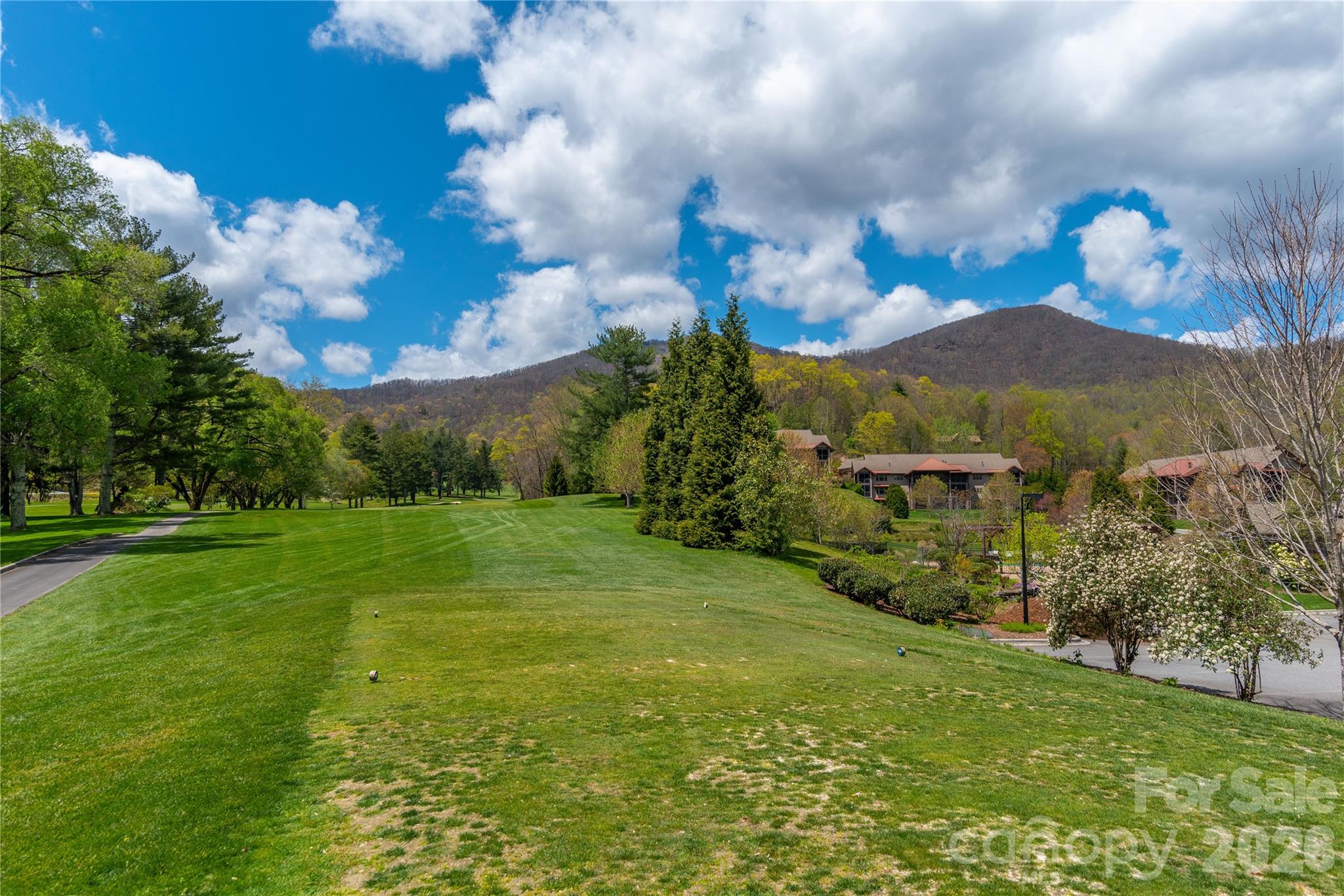 Lot at 500 Sophie Road, Maggie Valley, photo 18 of 32