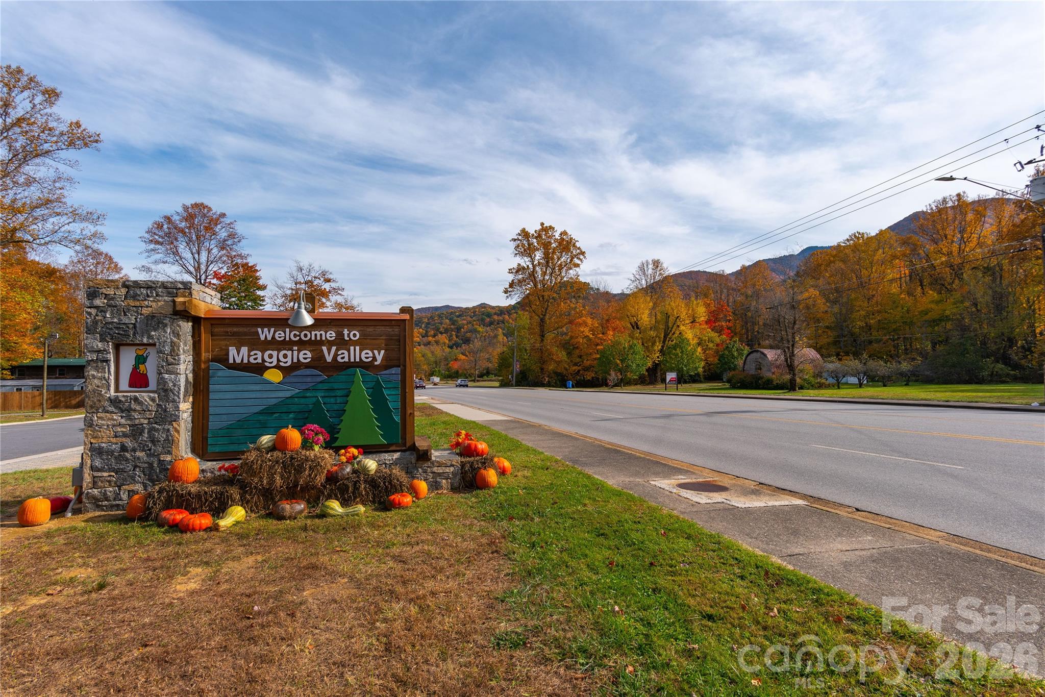 Lot at 500 Sophie Road, Maggie Valley, photo 25 of 32