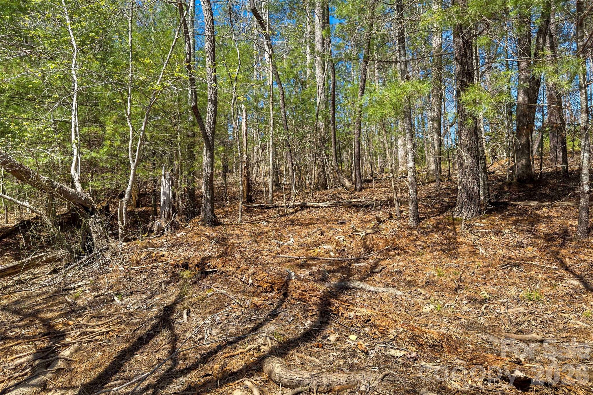Lot at 3107 Channel View Cove, Morganton, photo 7 of 24