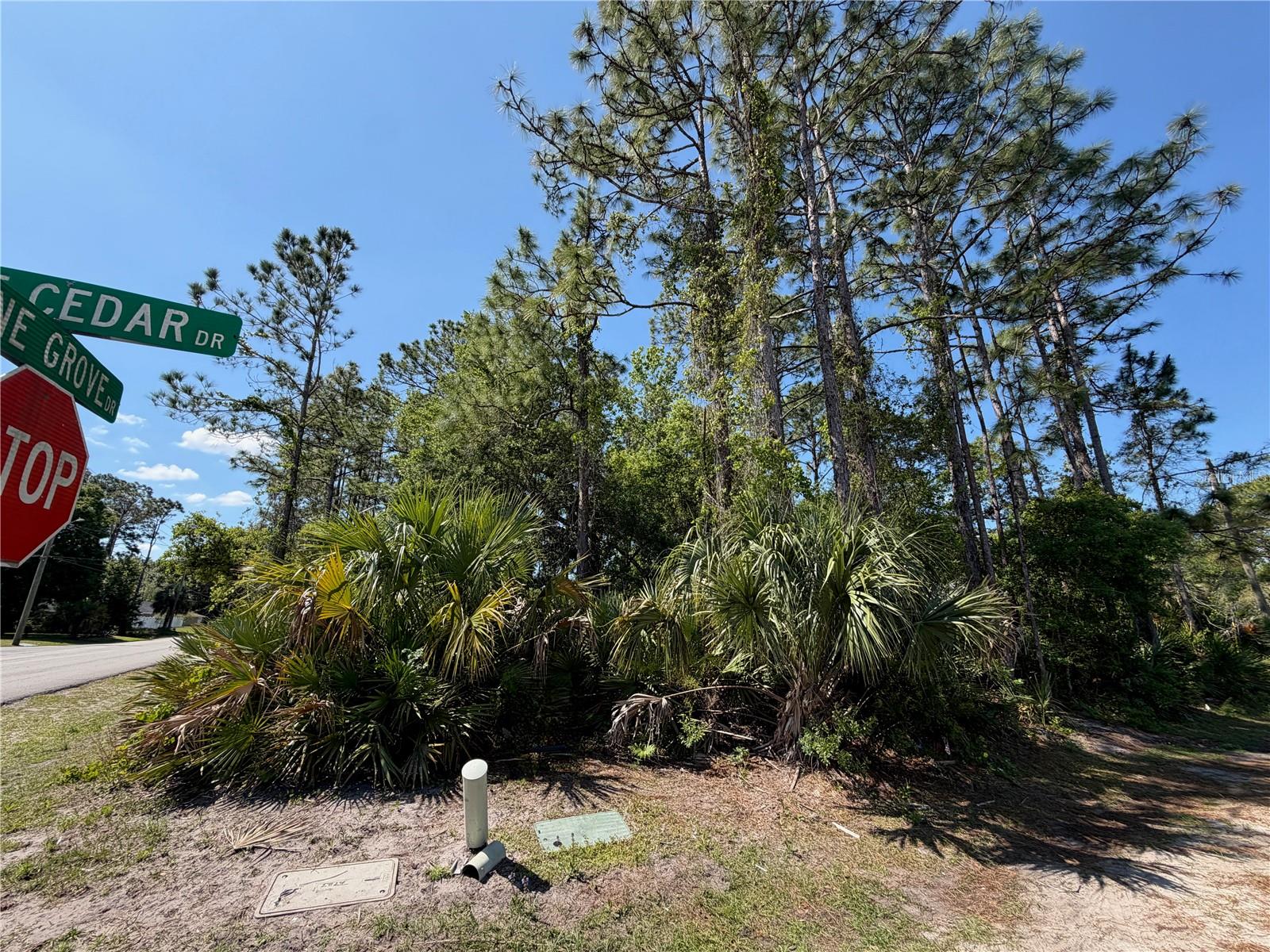 Land at 60 PINE CEDAR DR, PALM COAST, photo 3 of 4