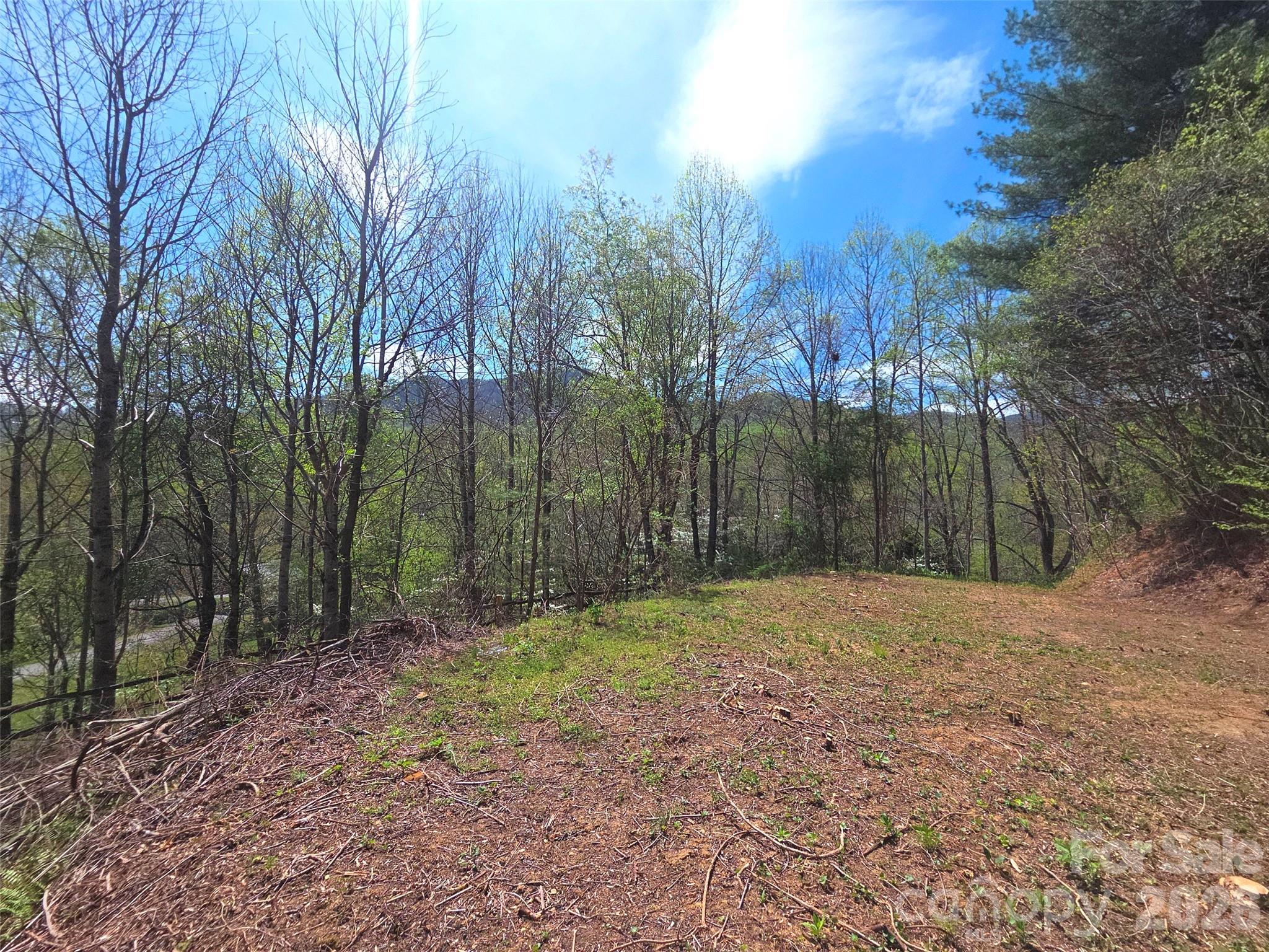 Lot at 50 Turtle Rock Lane, Waynesville, photo 2 of 20