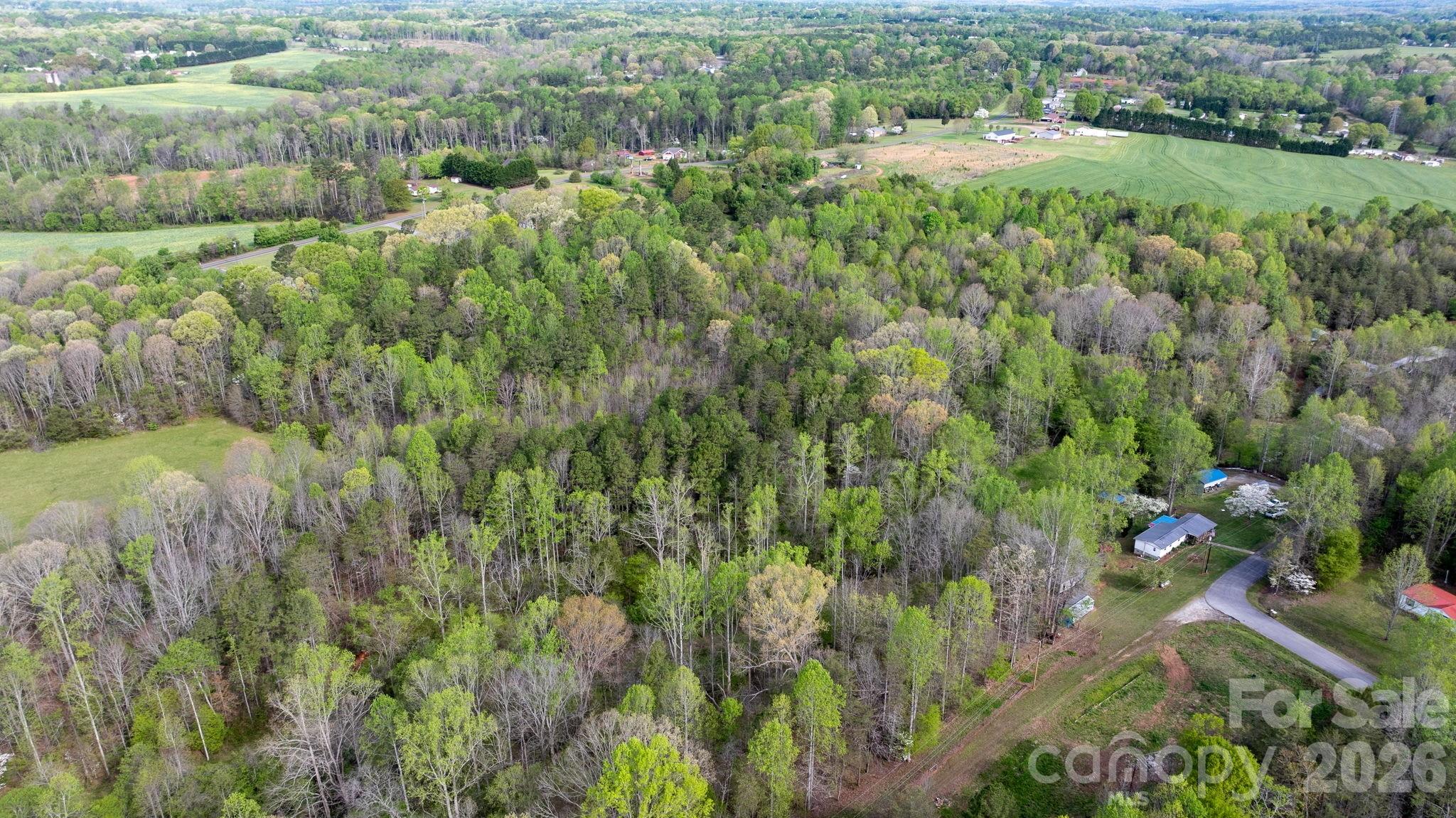 Acreage at 0 Flowing Ivy Lane, Claremont, photo 4 of 14
