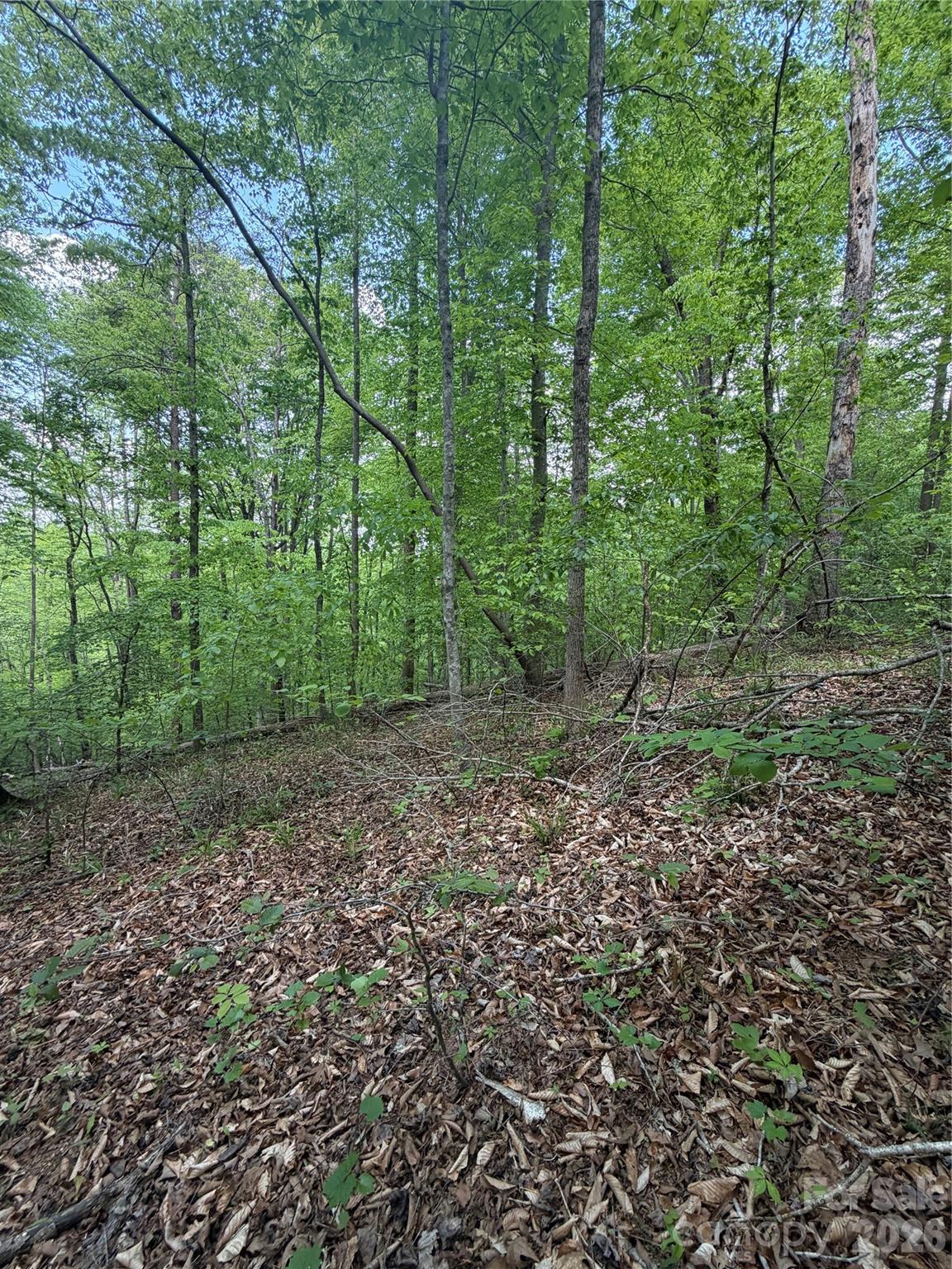 Lot at 0 Overstone Drive, Rutherfordton, photo 4 of 17