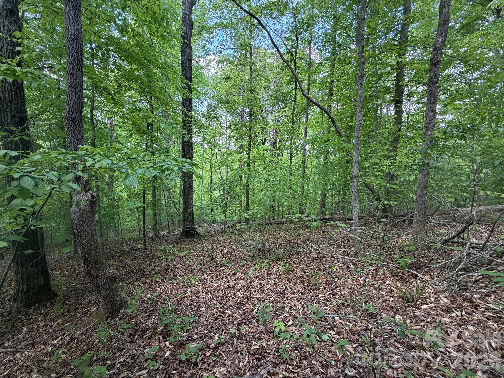 Lot at 0 Overstone Drive, Rutherfordton, photo 3 of 17