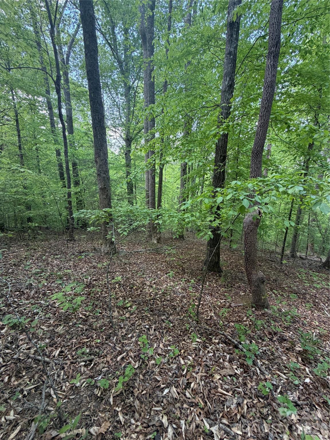 Lot at 0 Overstone Drive, Rutherfordton, photo 5 of 17