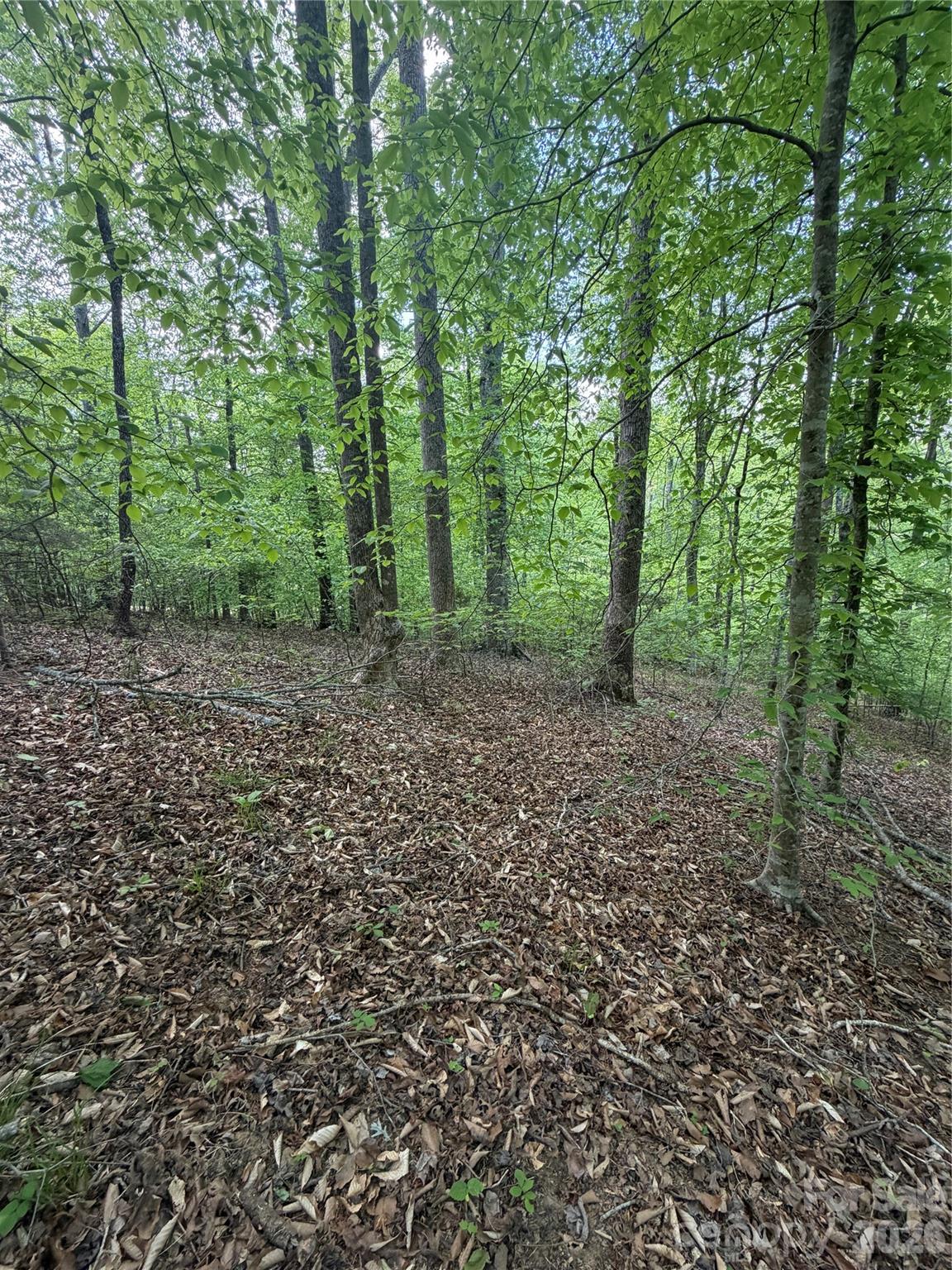 Lot at 0 Overstone Drive, Rutherfordton, photo 6 of 17