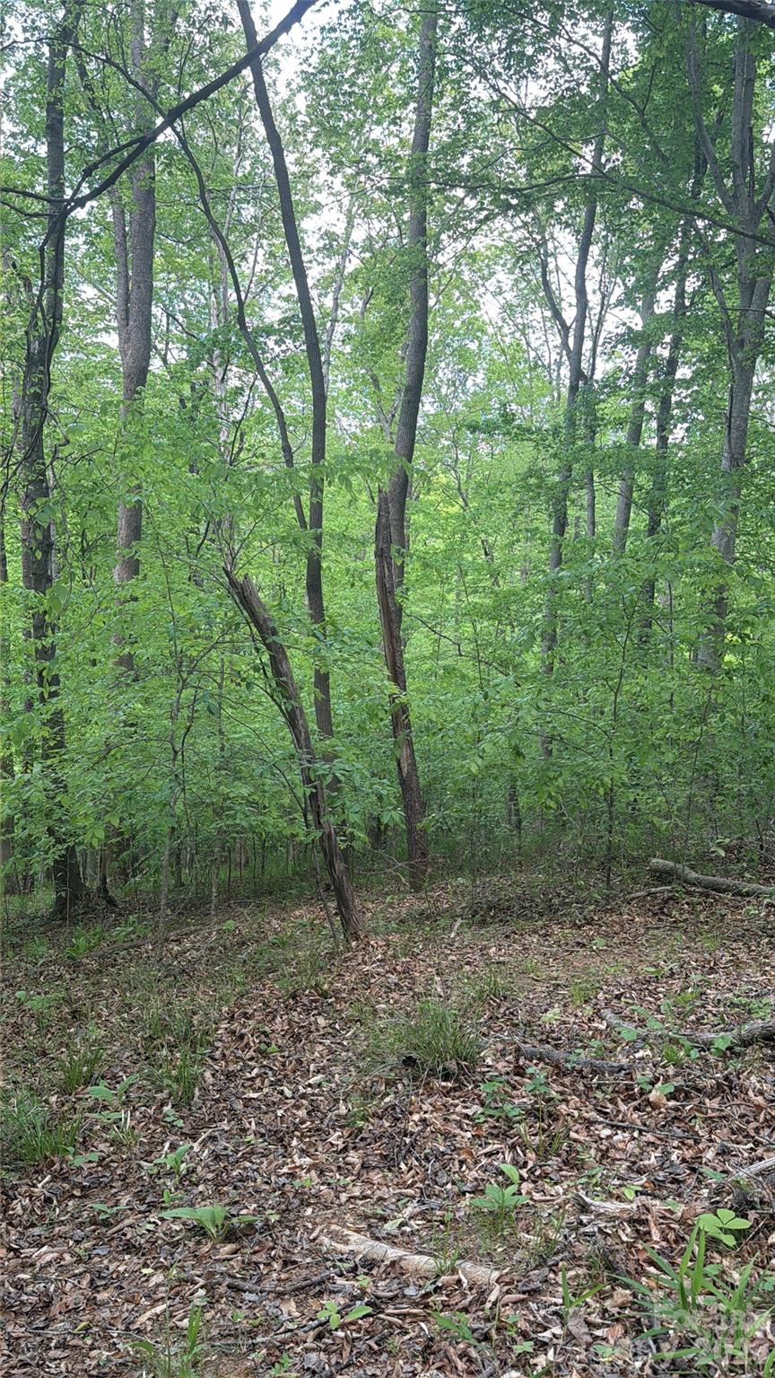 Lot at 0 Overstone Drive, Rutherfordton, photo 2 of 17
