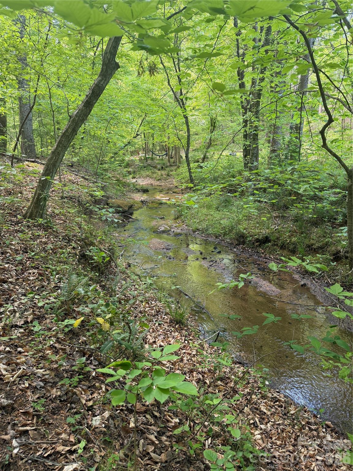 Lot at 0 Overstone Drive, Rutherfordton, photo 10 of 17