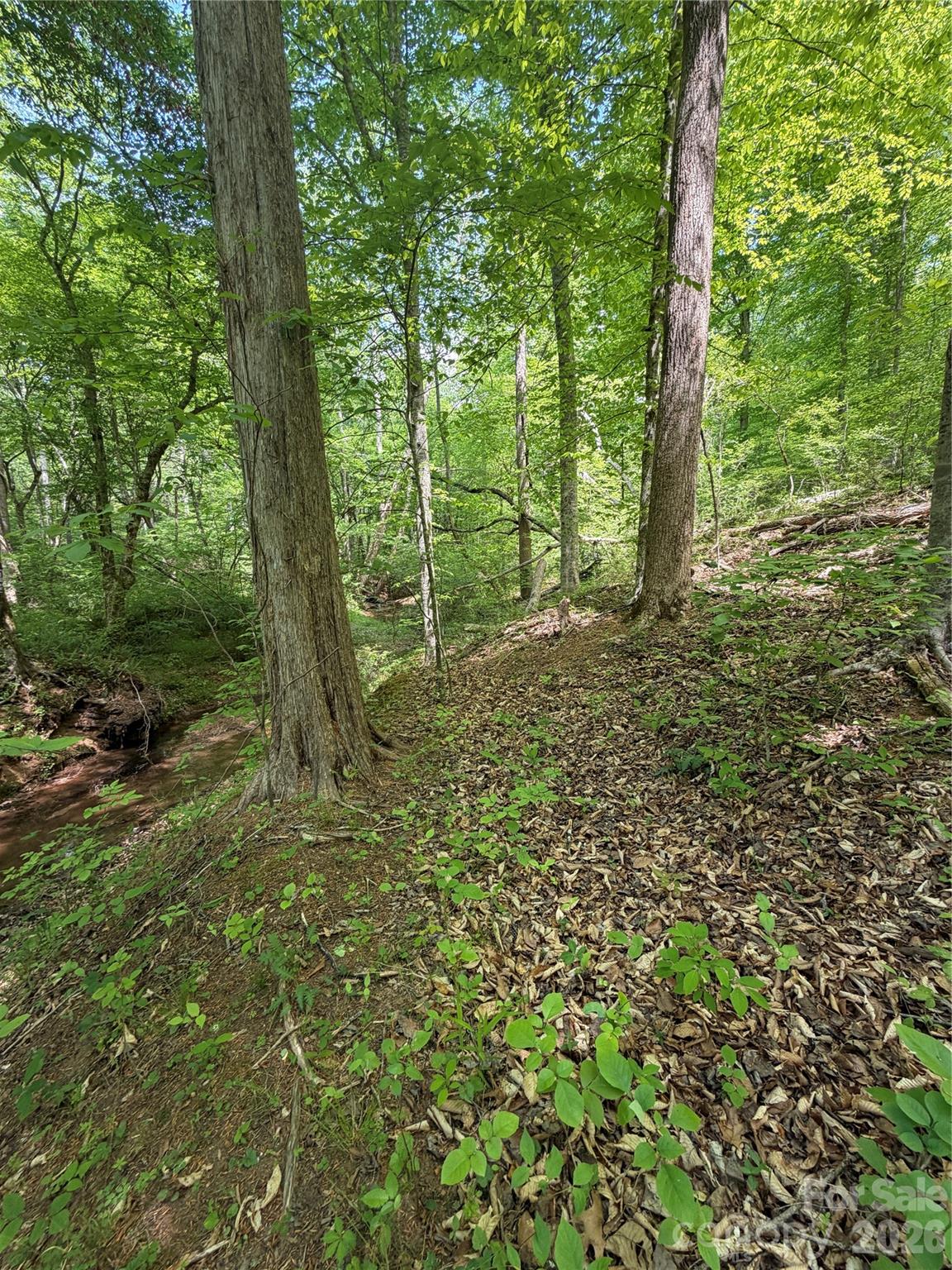 Lot at 0 Overstone Drive, Rutherfordton, photo 12 of 17