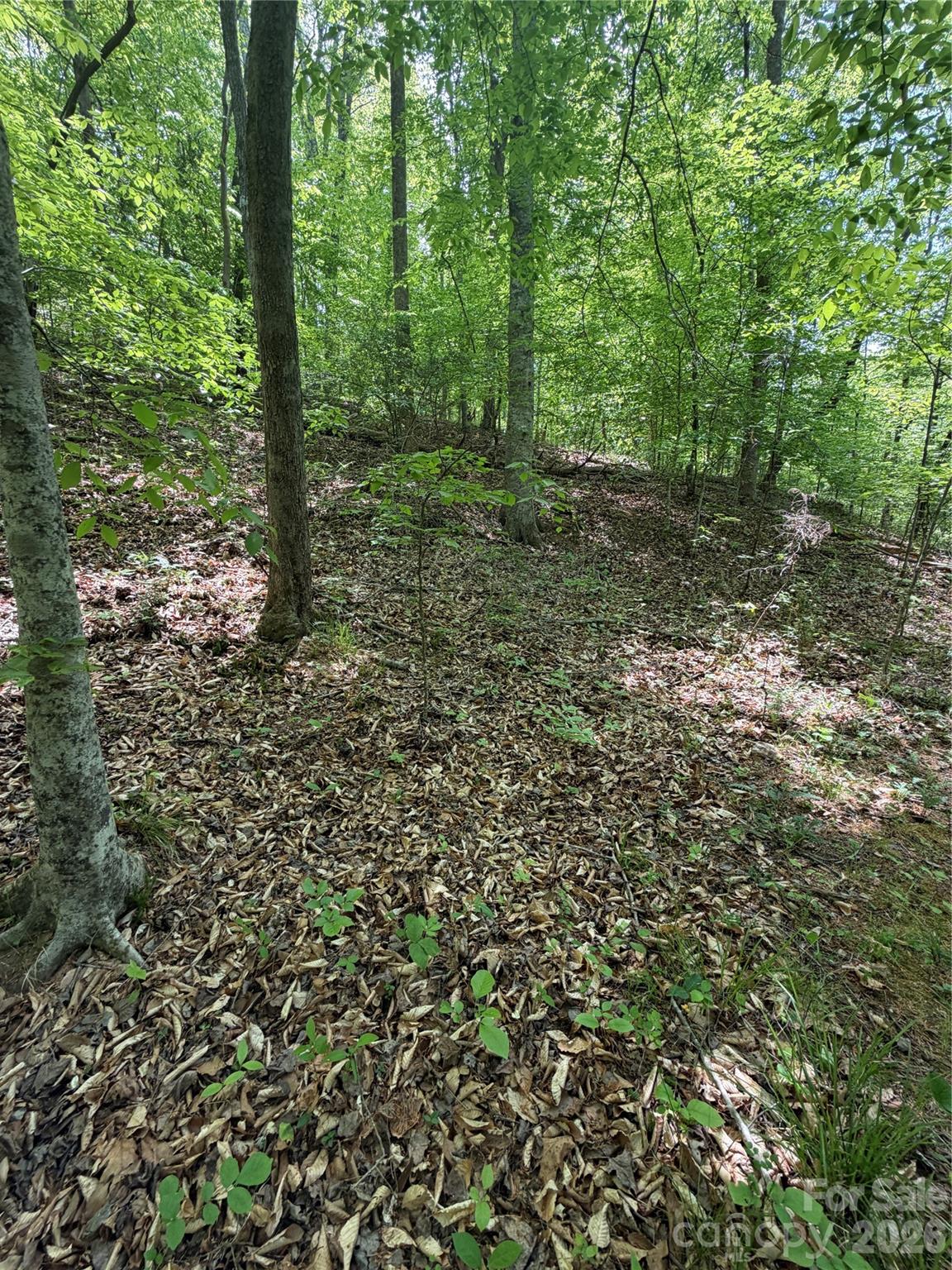 Lot at 0 Overstone Drive, Rutherfordton, photo 13 of 17