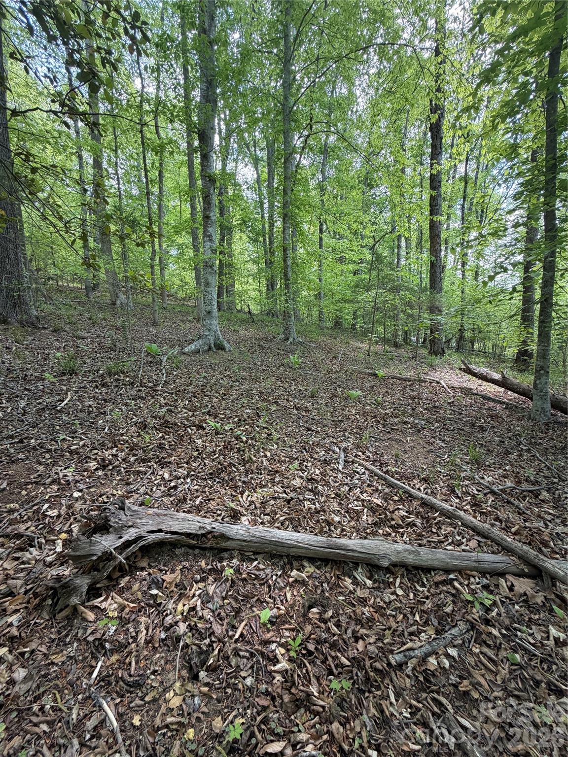 Lot at 0 Overstone Drive, Rutherfordton, photo 15 of 17
