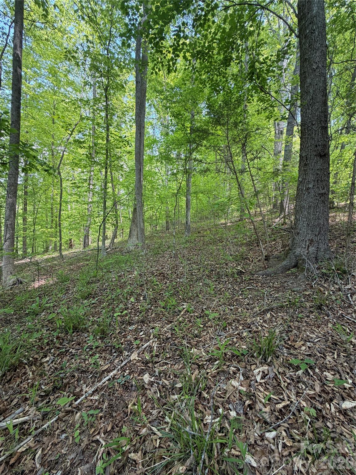 Lot at 0 Overstone Drive, Rutherfordton, photo 16 of 17