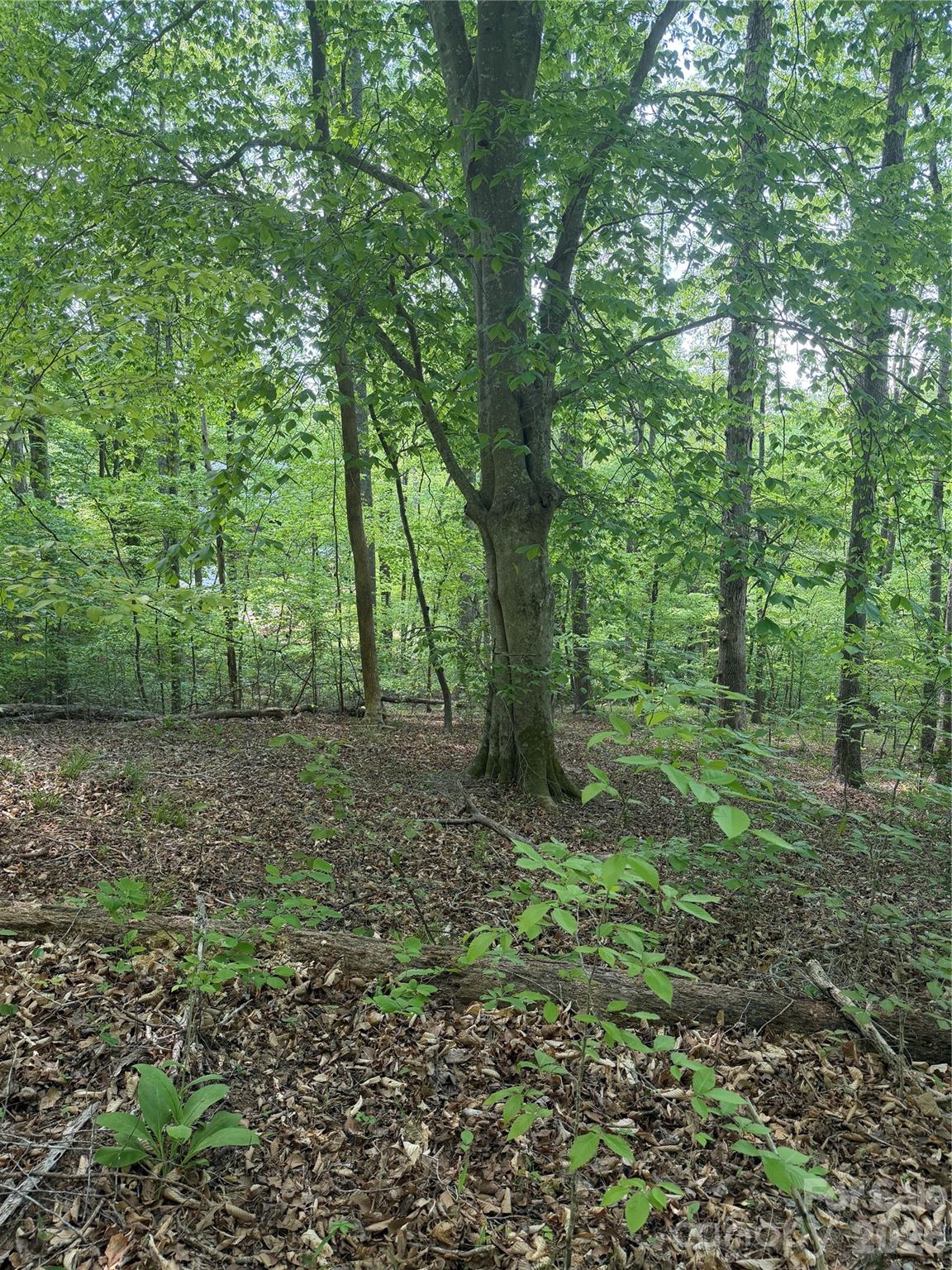 Lot at 0 Overstone Drive, Rutherfordton, photo 17 of 17