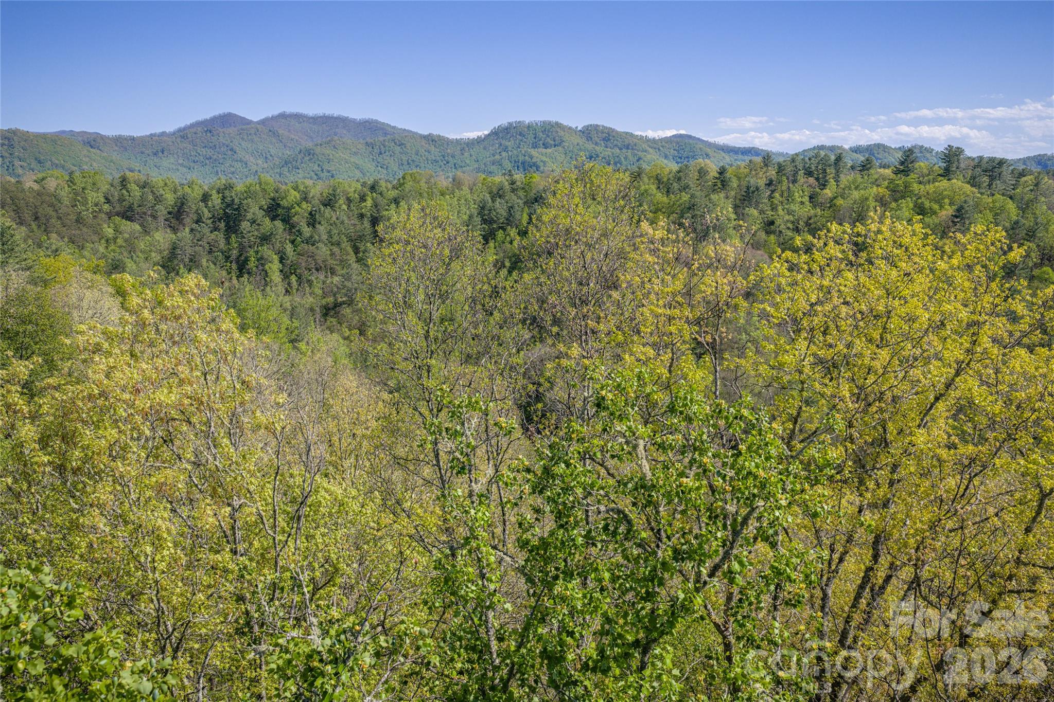 44 Marshbanks Ridge