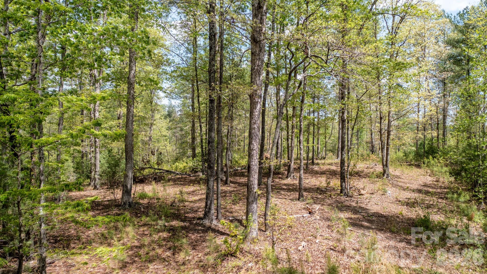 Lot at 00 Scenic Lane, Granite Falls, photo 10 of 27