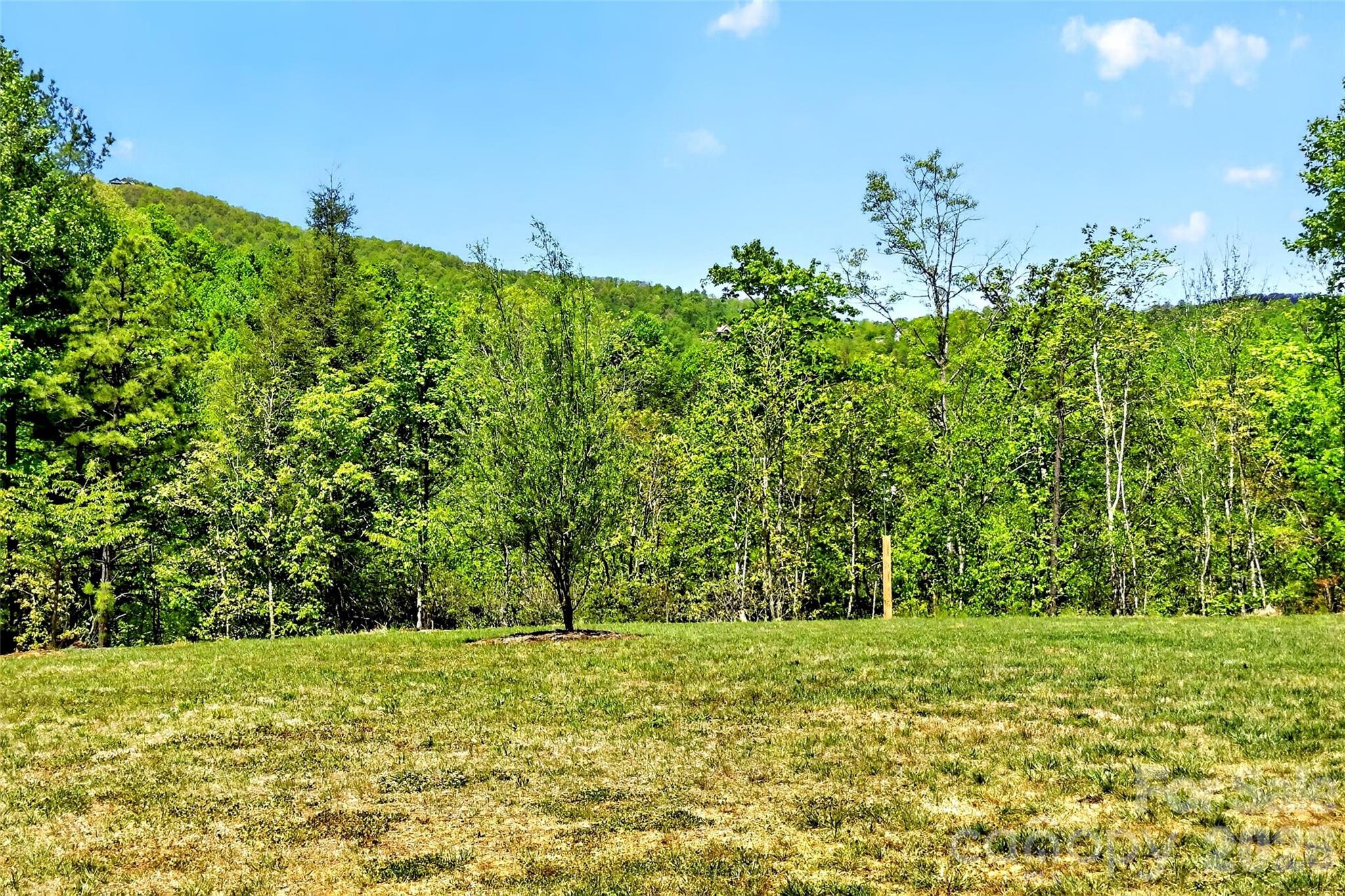 Incredible flat space for gardening or anything else you desire! - 50 Glass Falls Trail, Black Mountain