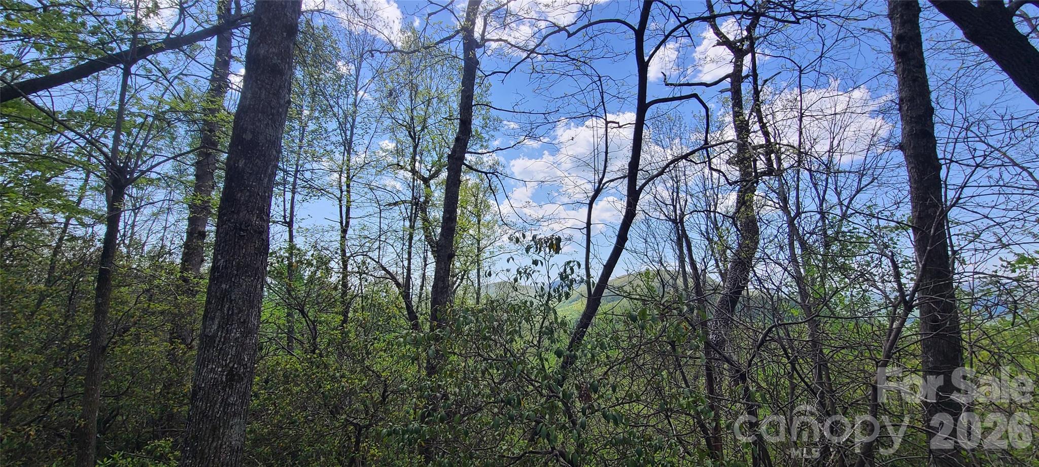 Lot at 102 High Cliffs Trail, Black Mountain, photo 2 of 11