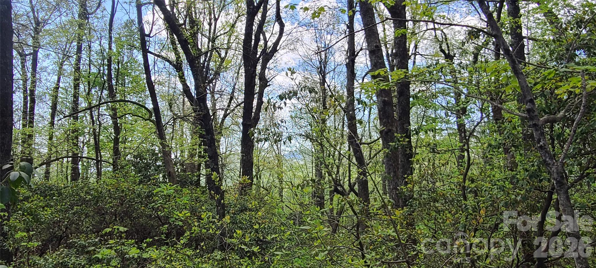 Lot at 102 High Cliffs Trail, Black Mountain, photo 3 of 11