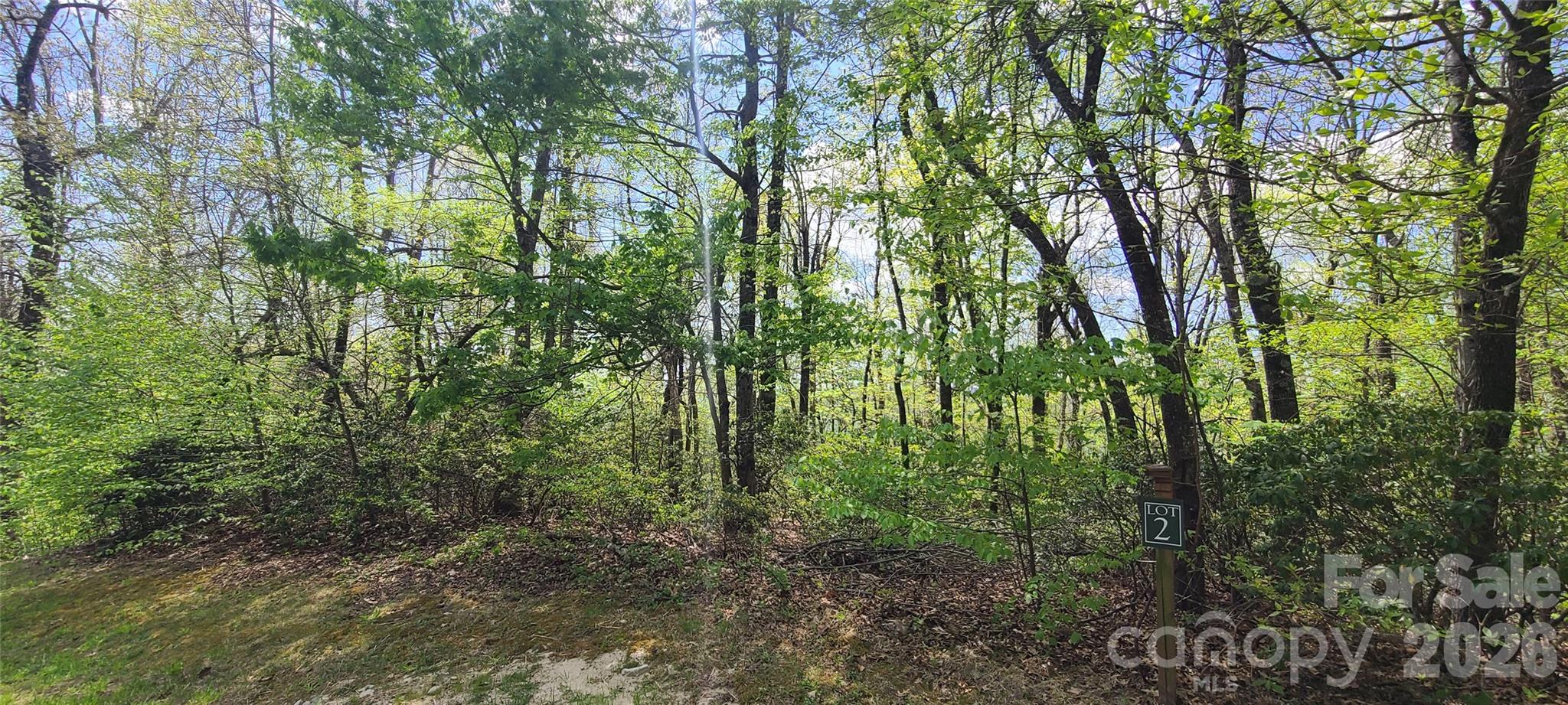 Lot at 102 High Cliffs Trail, Black Mountain, photo 4 of 11