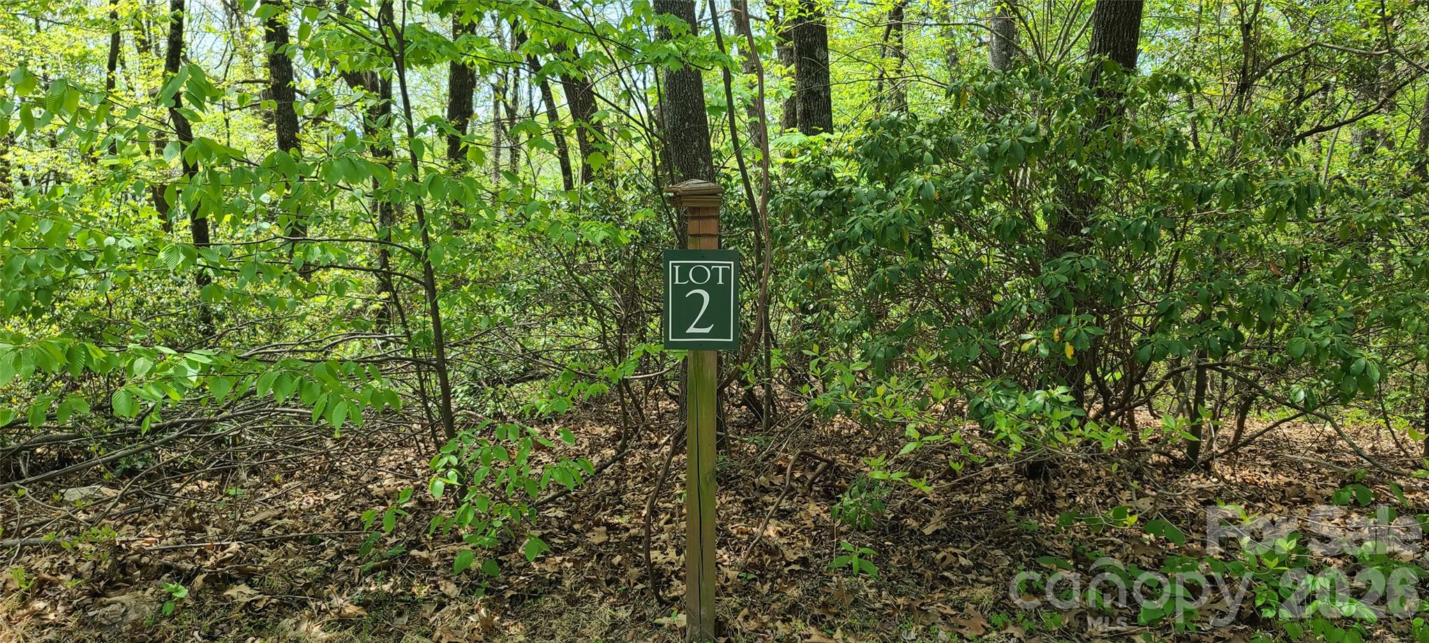 Lot at 102 High Cliffs Trail, Black Mountain, photo 5 of 11