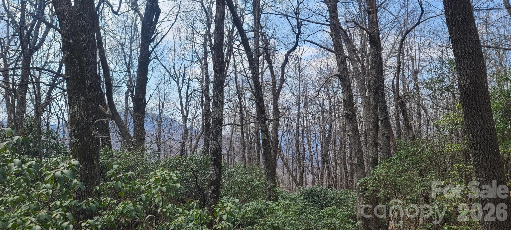 Lot at 102 High Cliffs Trail, Black Mountain, photo 6 of 11