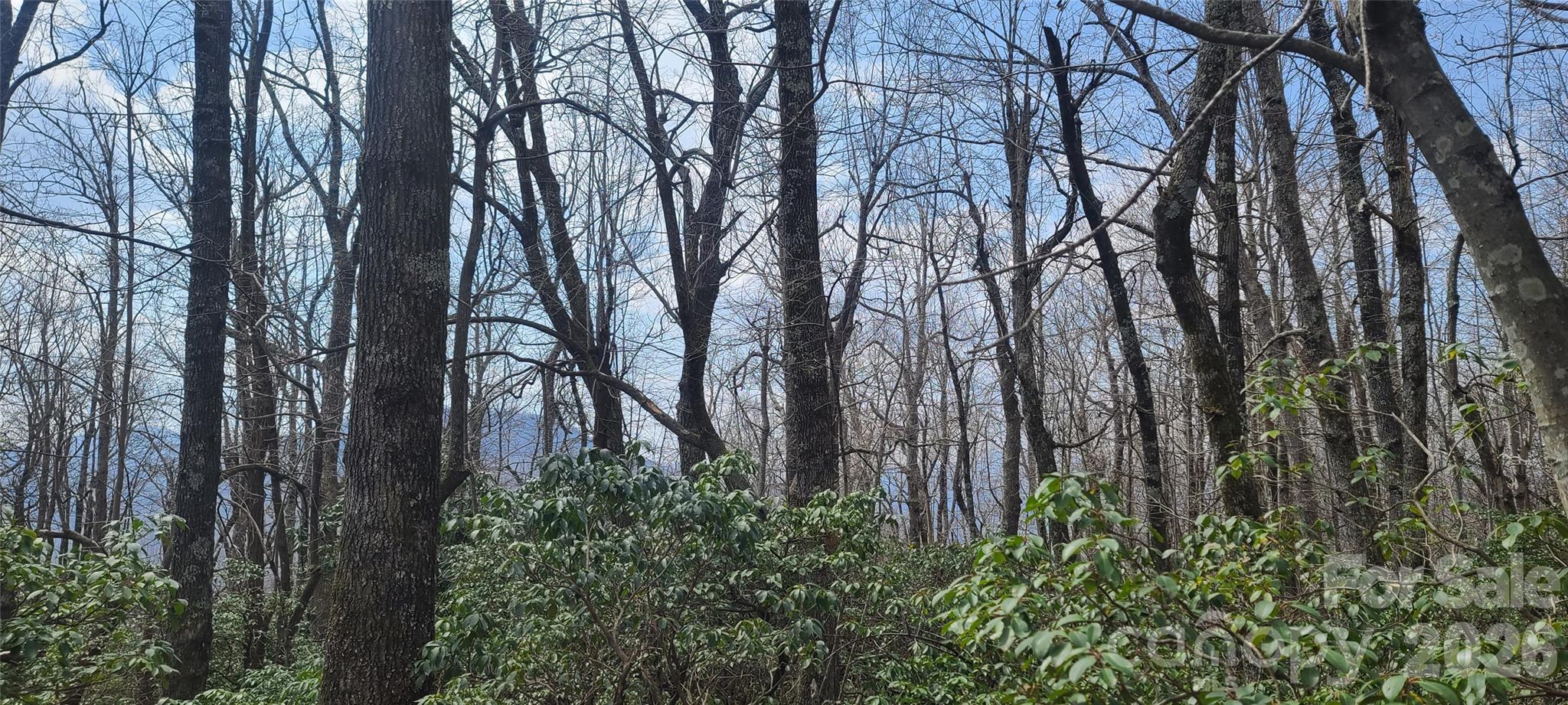 Lot at 102 High Cliffs Trail, Black Mountain, photo 7 of 11