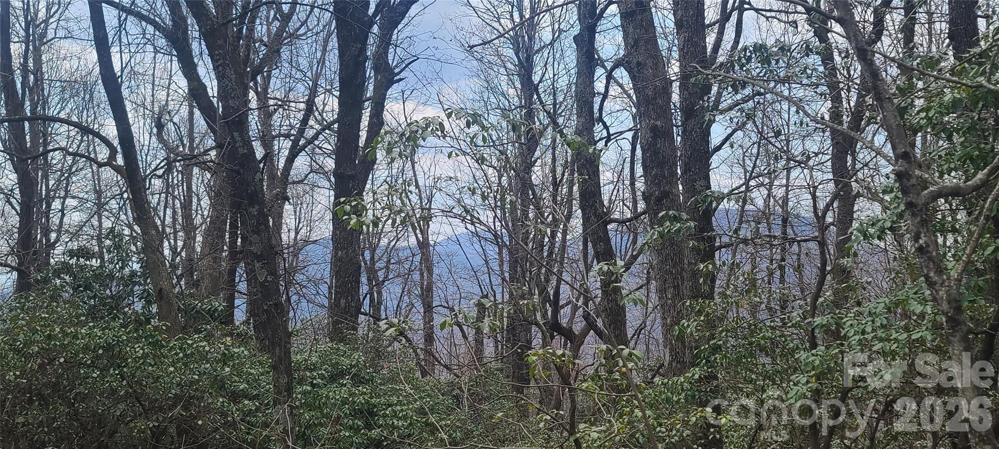 Lot at 102 High Cliffs Trail, Black Mountain, photo 8 of 11