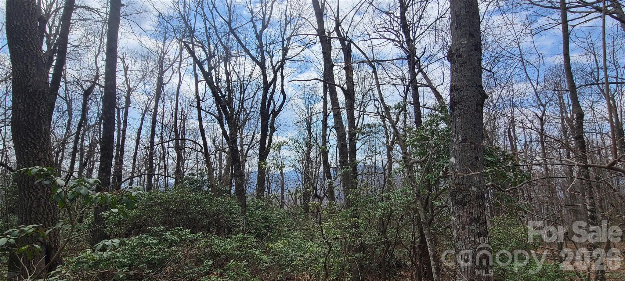 Lot at 102 High Cliffs Trail, Black Mountain, photo 9 of 11