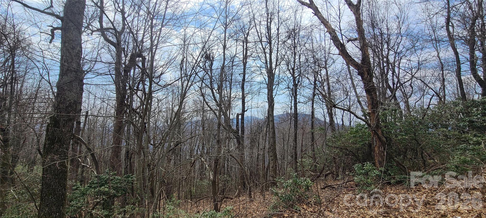 Lot at 102 High Cliffs Trail, Black Mountain, photo 10 of 11