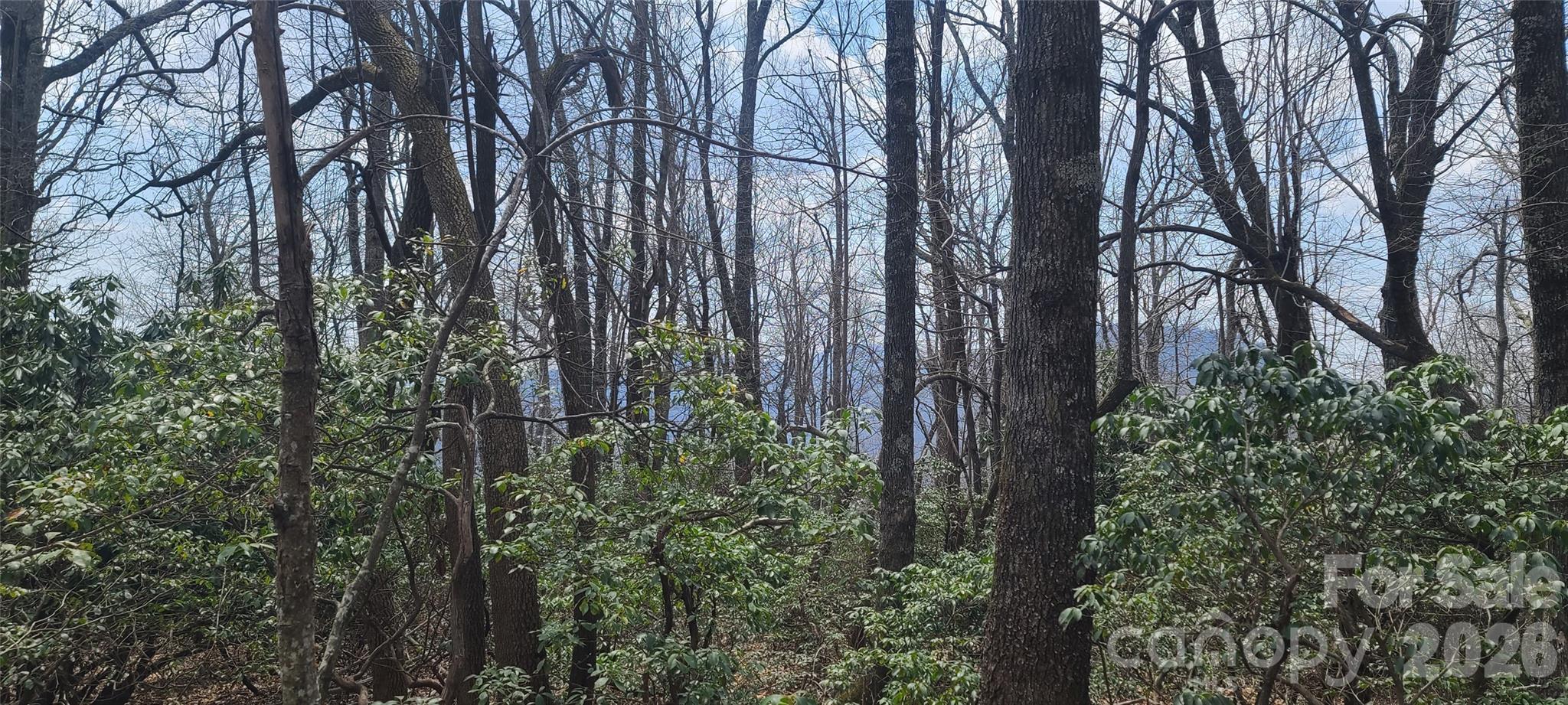 Lot at 102 High Cliffs Trail, Black Mountain, photo 11 of 11